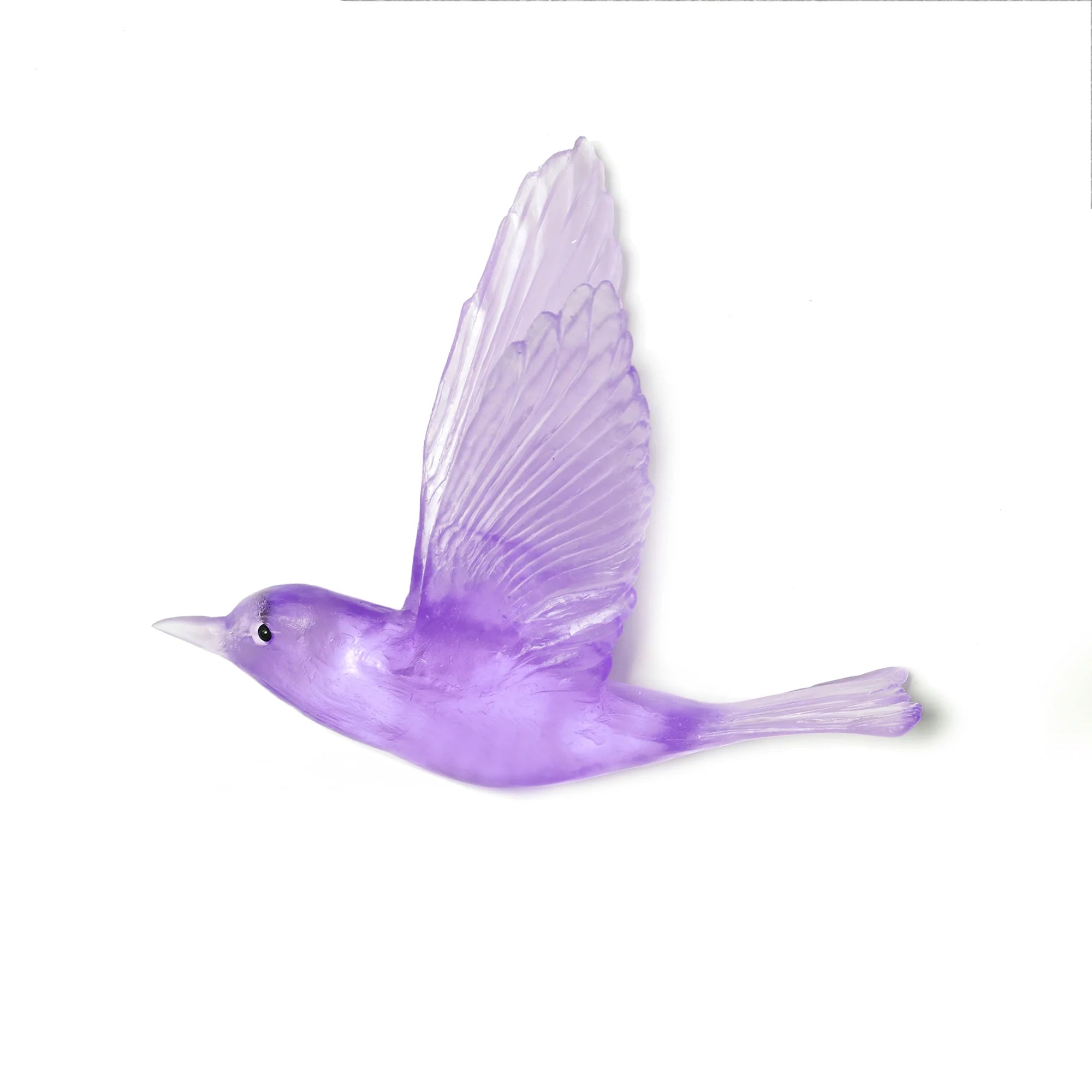 Pipiwharauroa / Shining Cuckoo | Glass Bird