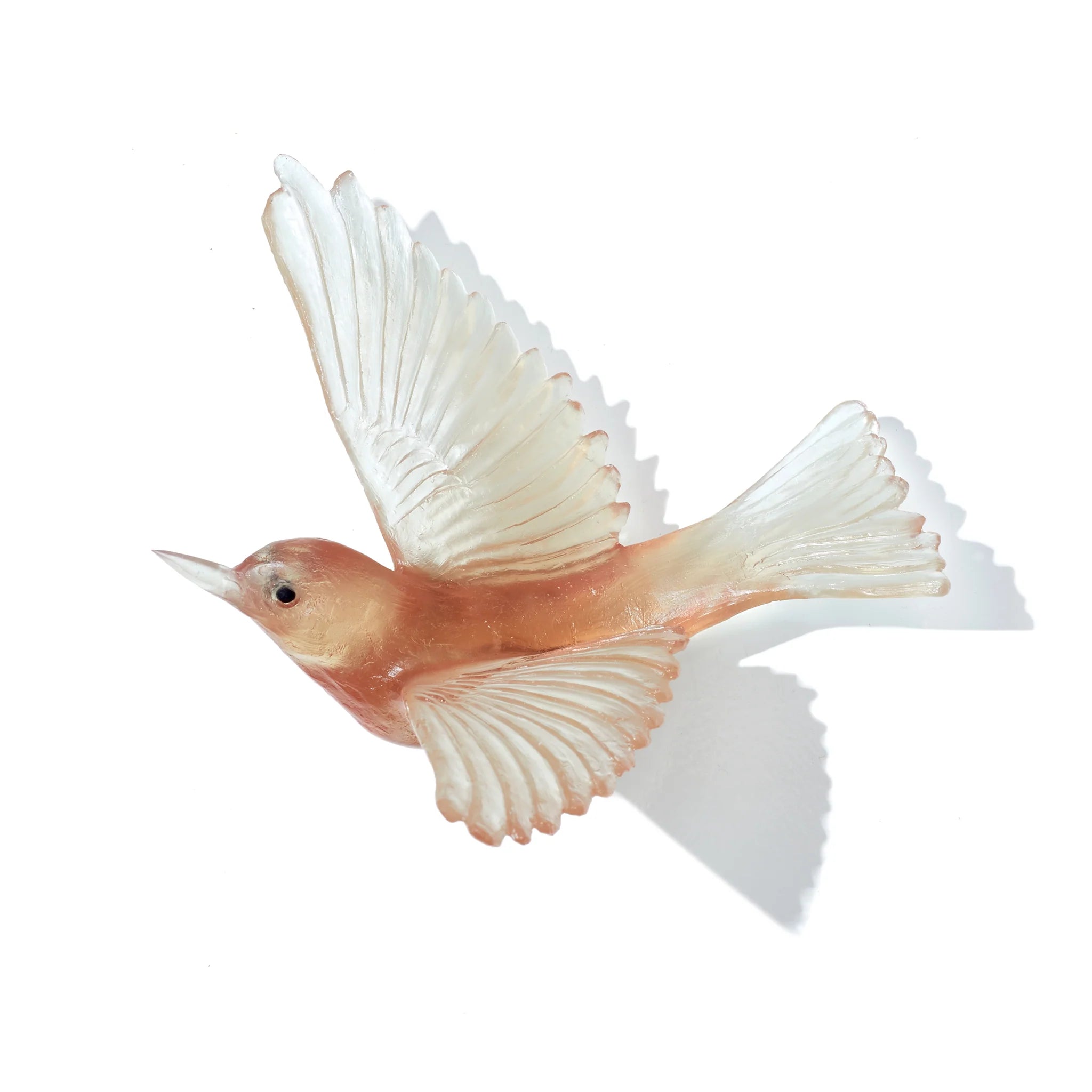 Tauhou / Silvereye | Glass Bird
