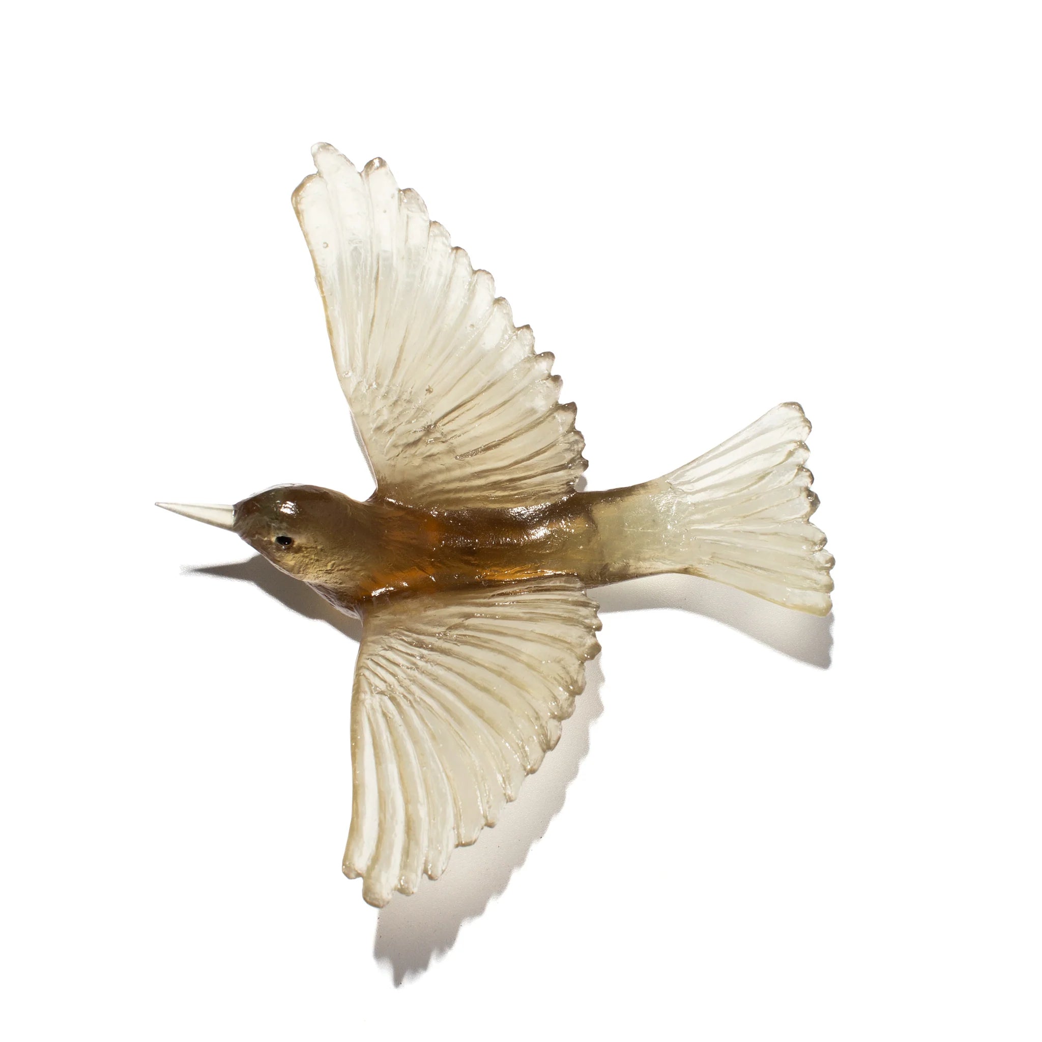 Tauhou / Silvereye | Glass Bird