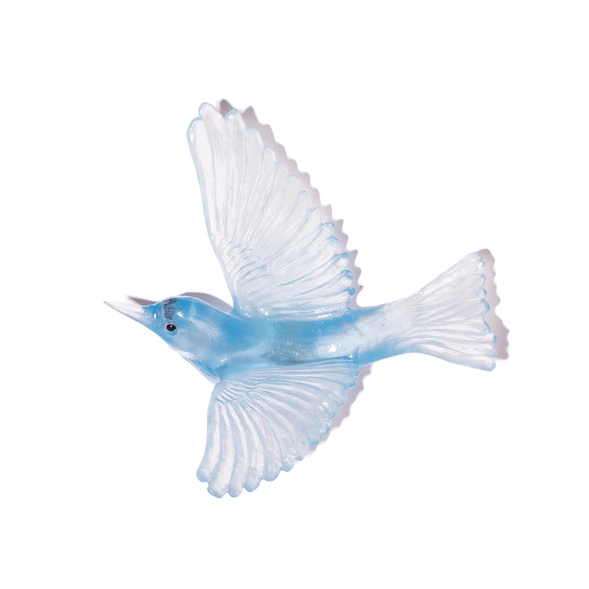 Tauhou / Silvereye | Glass Bird