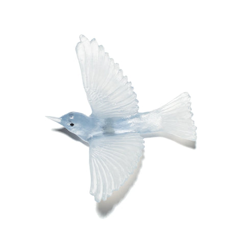 Tauhou / Silvereye | Glass Bird