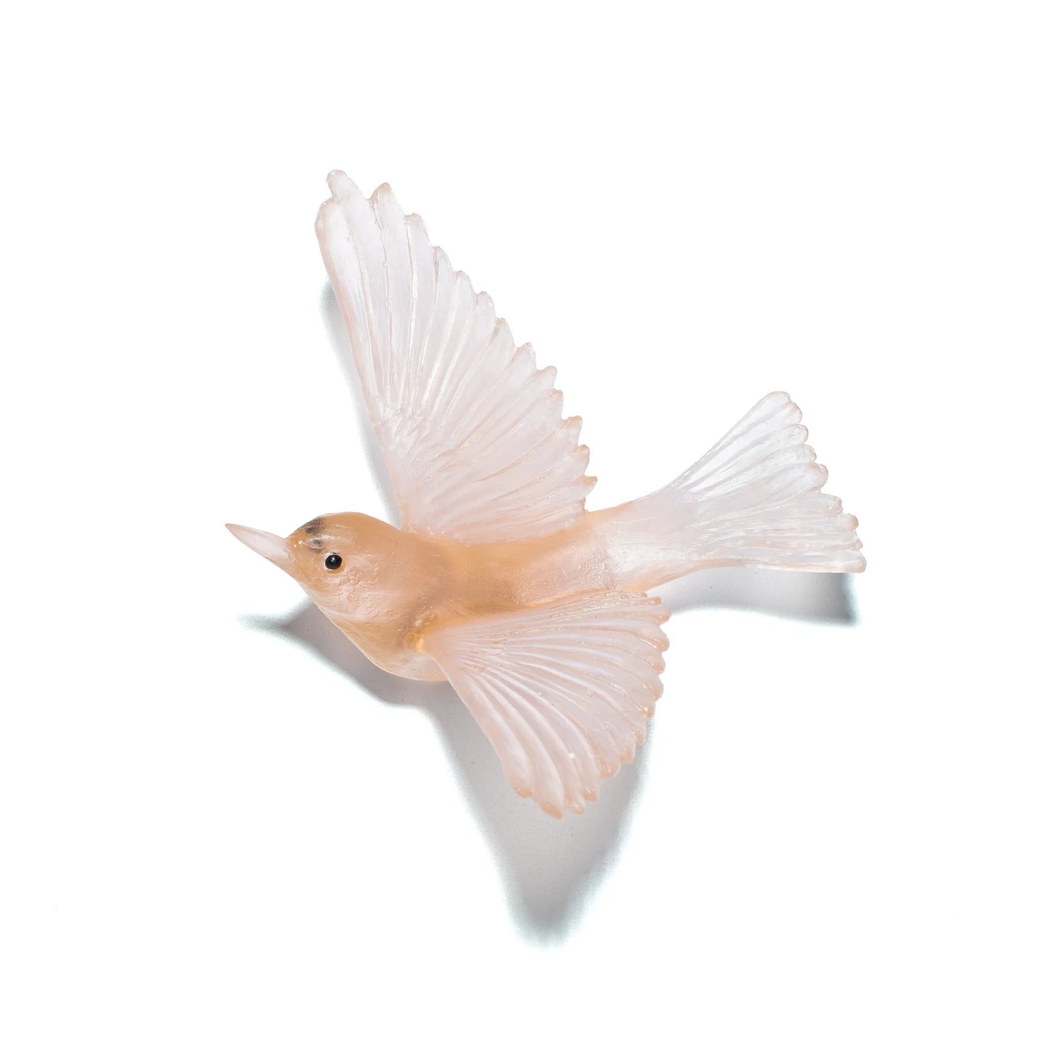 Tauhou / Silvereye | Glass Bird