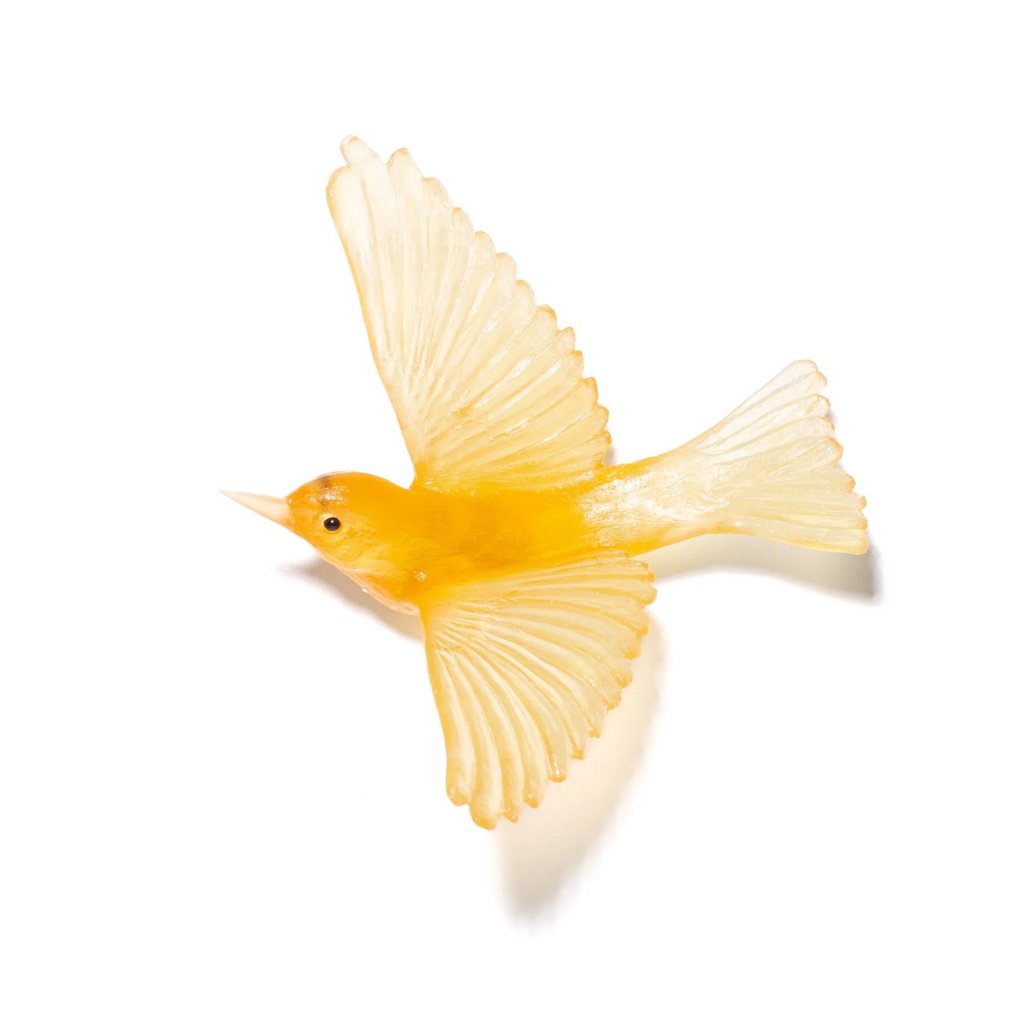 Tauhou / Silvereye | Glass Bird