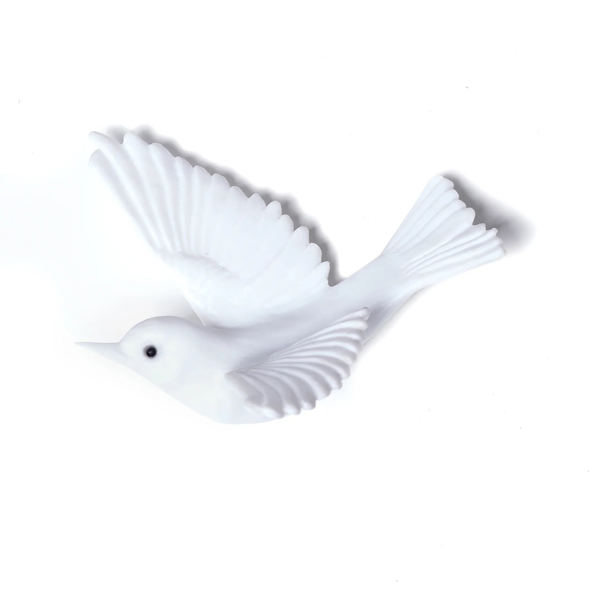 Tauhou / Silvereye | Glass Bird