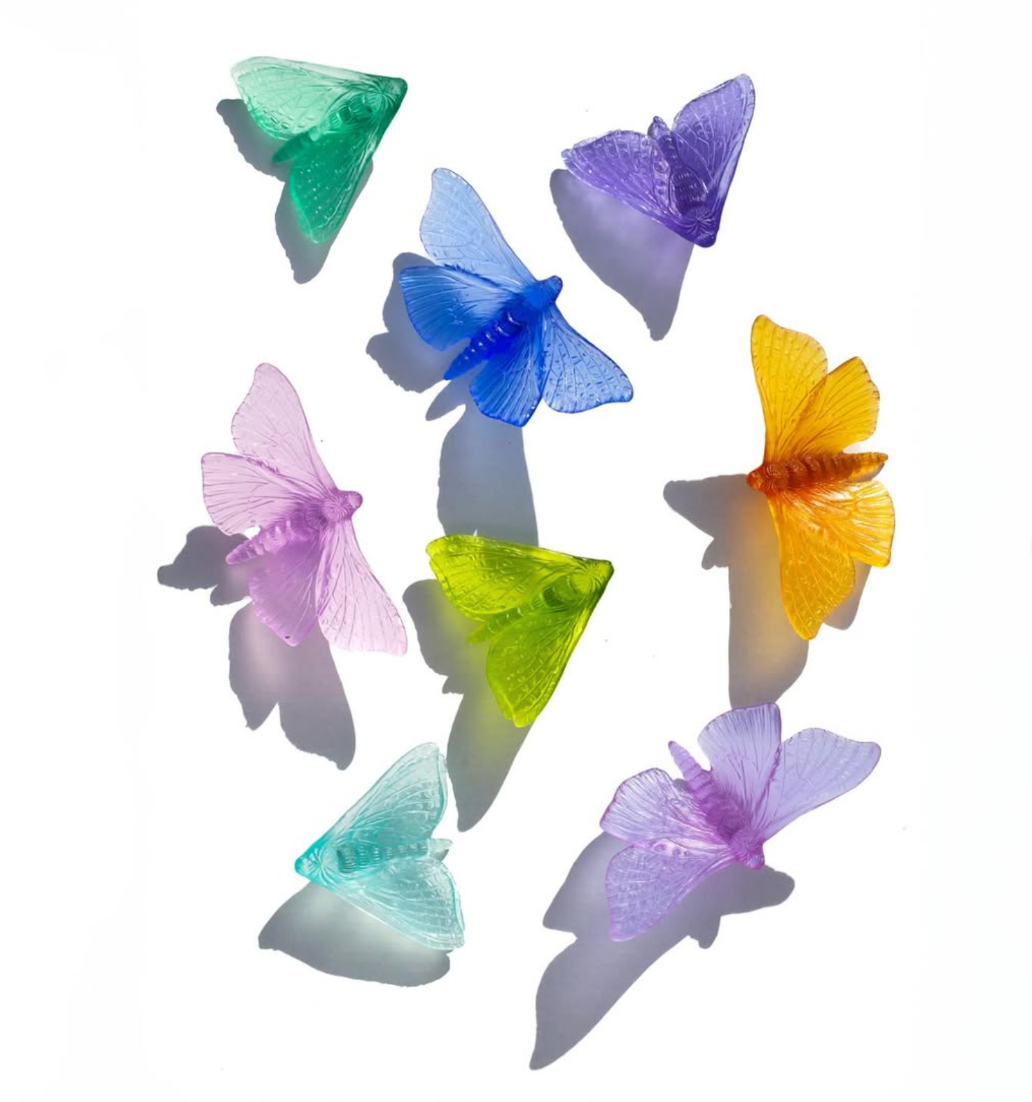 Pūriri Moth | Glass