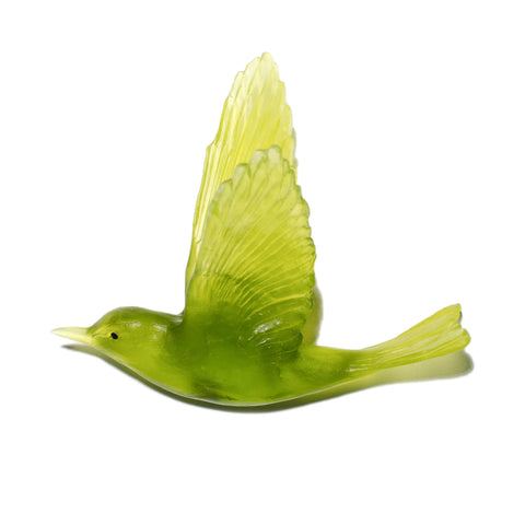 Pipiwharauroa / Shining Cuckoo | Glass Bird
