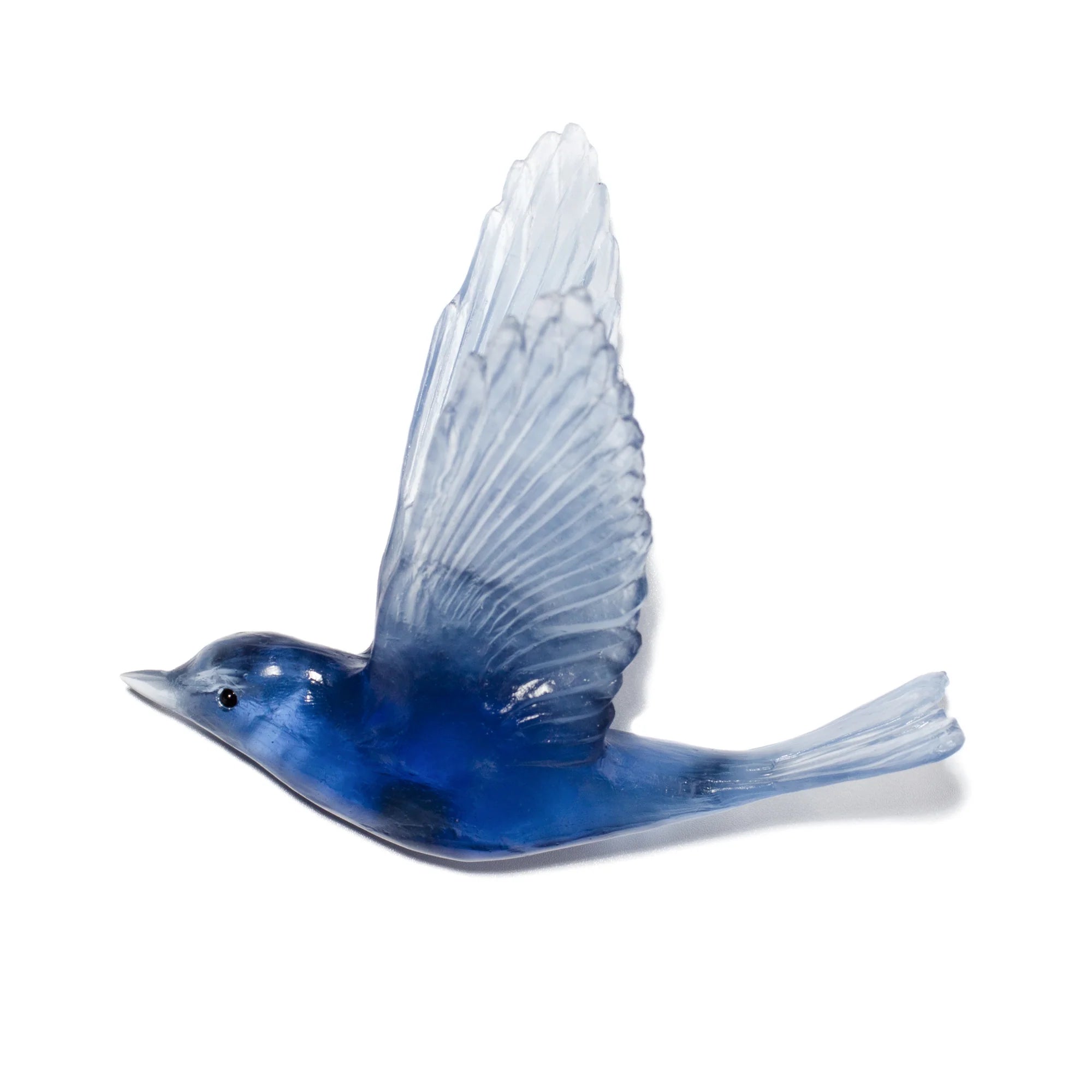 Pipiwharauroa / Shining Cuckoo | Glass Bird