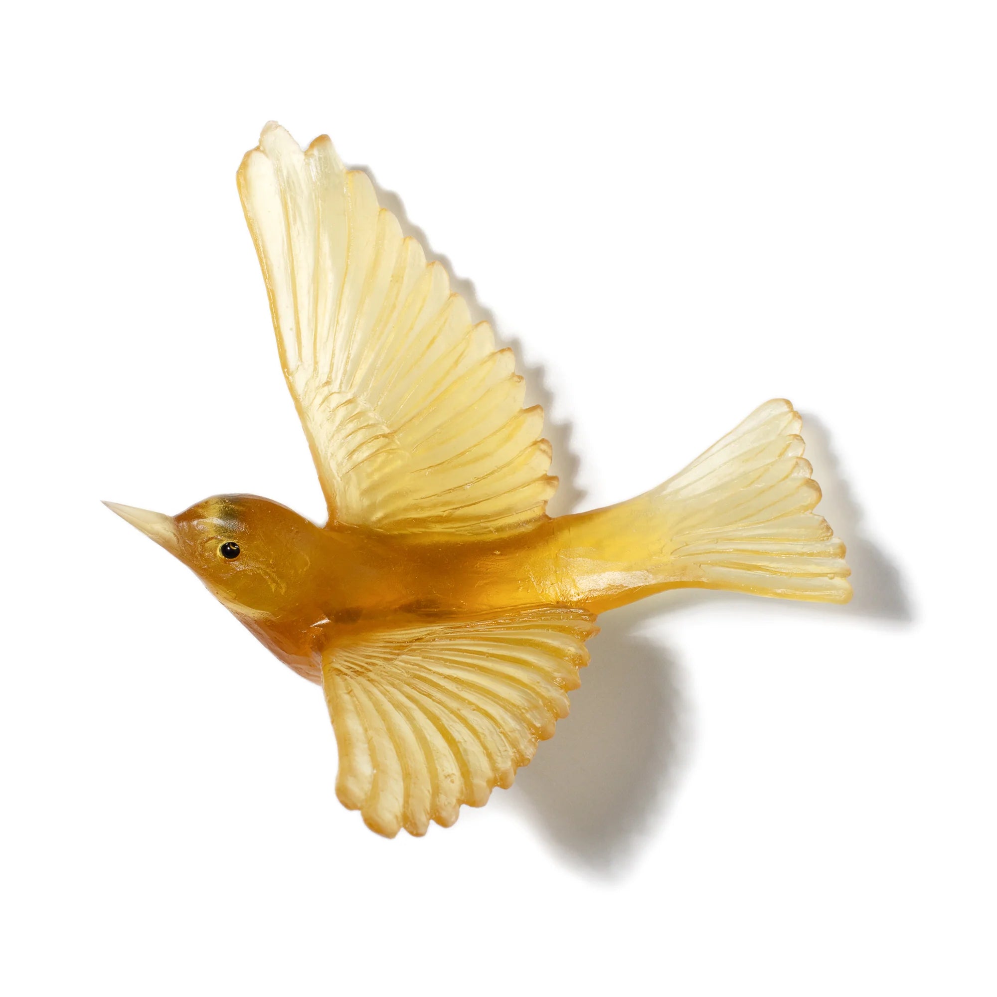 Tauhou / Silvereye | Glass Bird