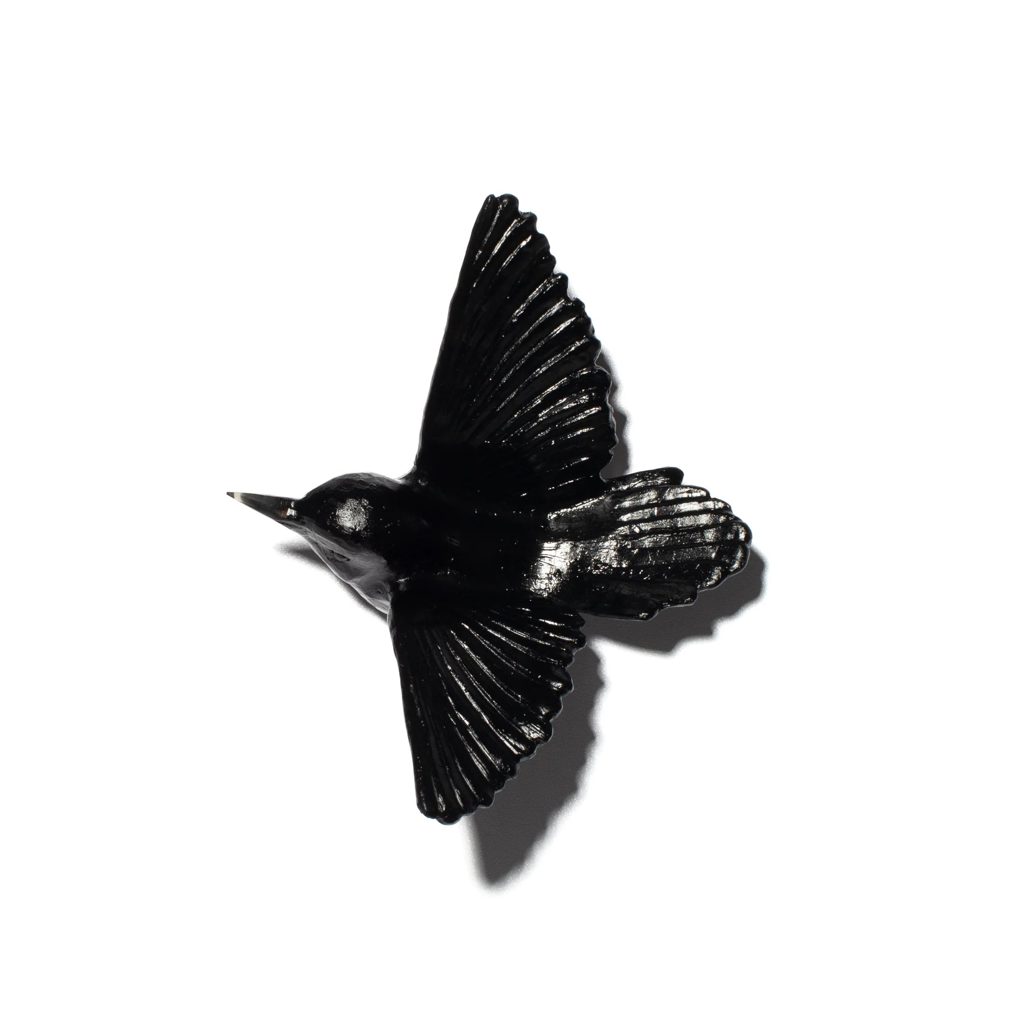 Miromiro / Tomtit | Glass Bird