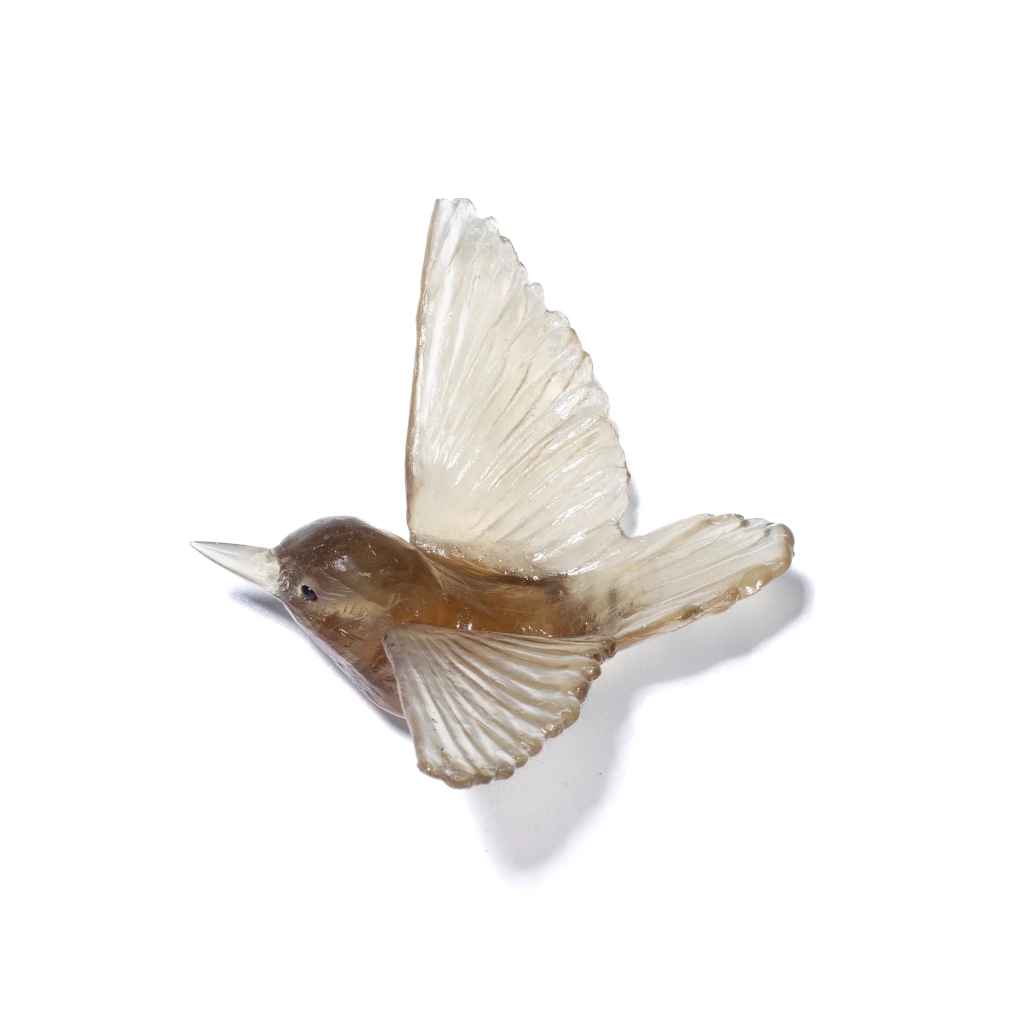 Miromiro / Tomtit | Glass Bird