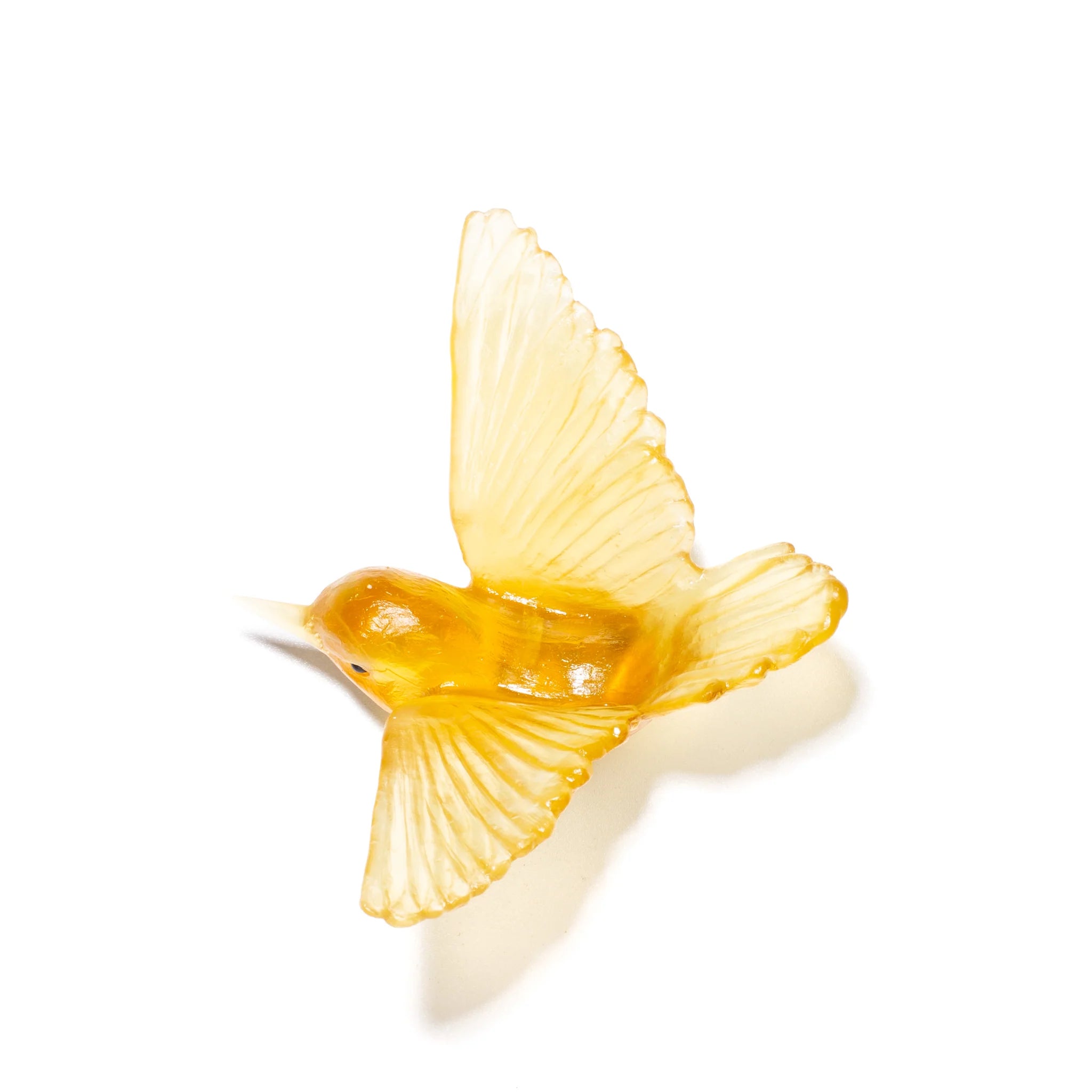 Miromiro / Tomtit | Glass Bird