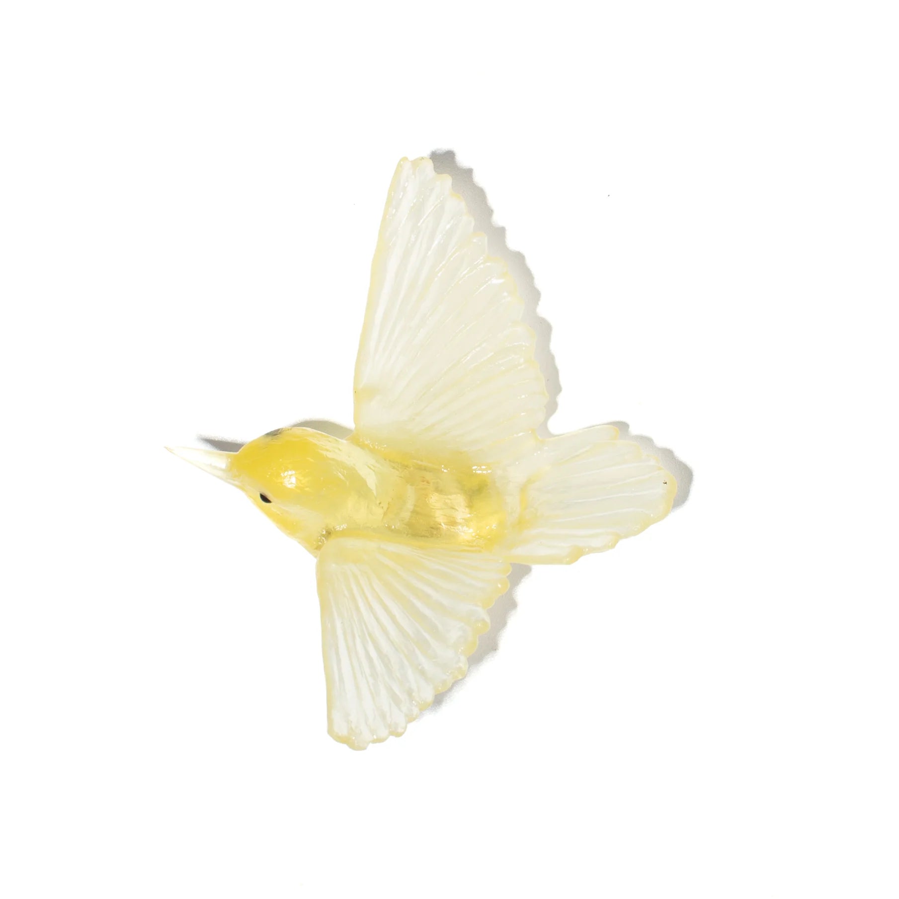 Miromiro / Tomtit | Glass Bird