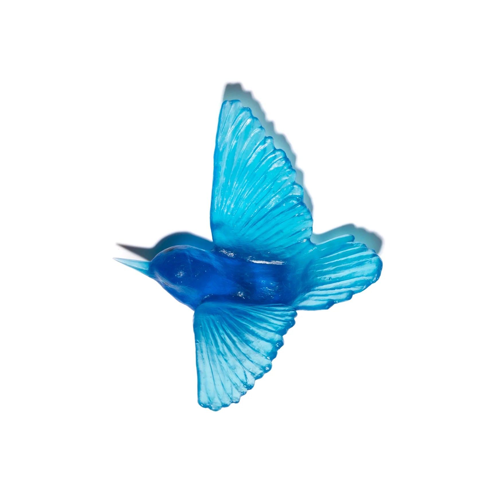 Miromiro / Tomtit | Glass Bird
