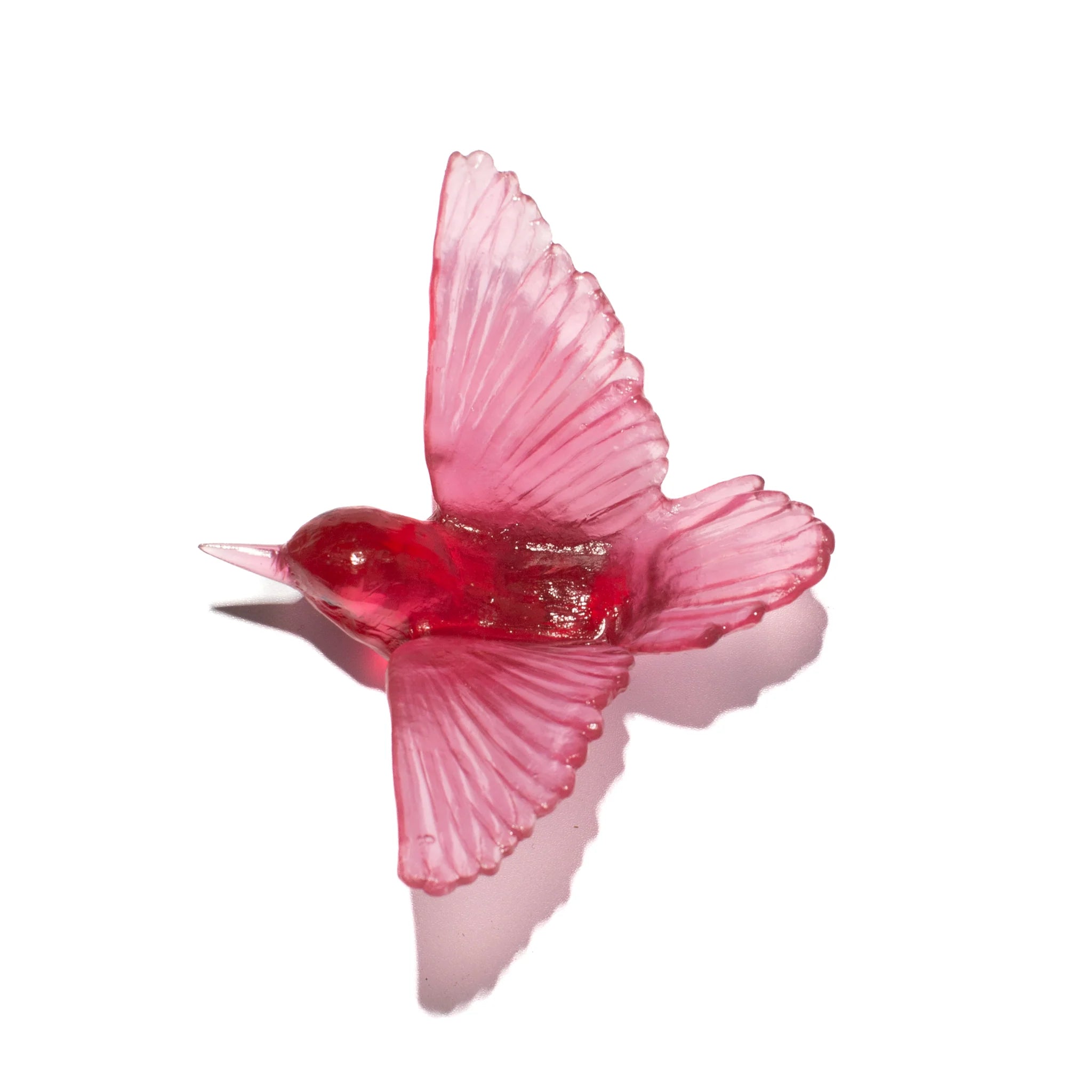 Miromiro / Tomtit | Glass Bird
