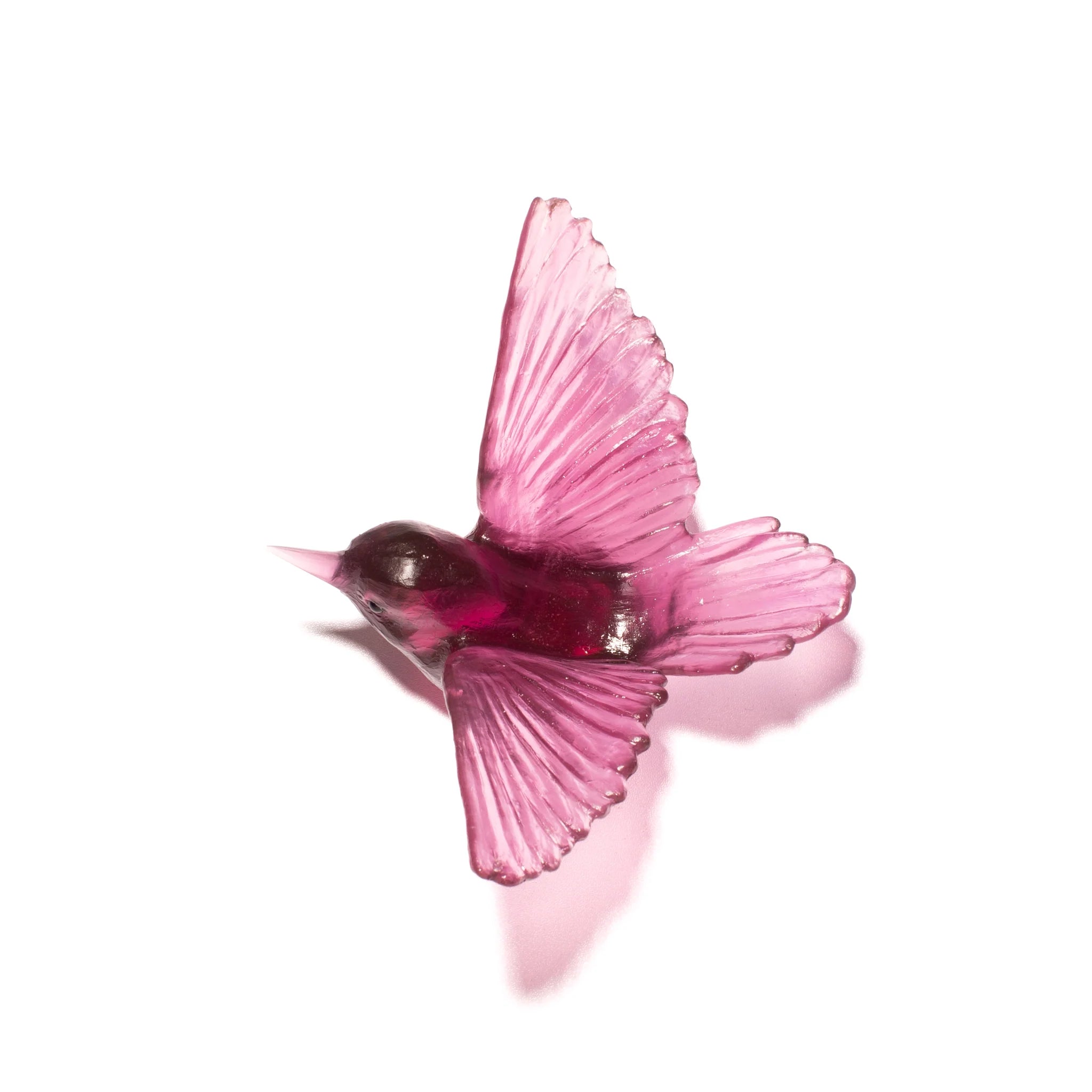 Miromiro / Tomtit | Glass Bird