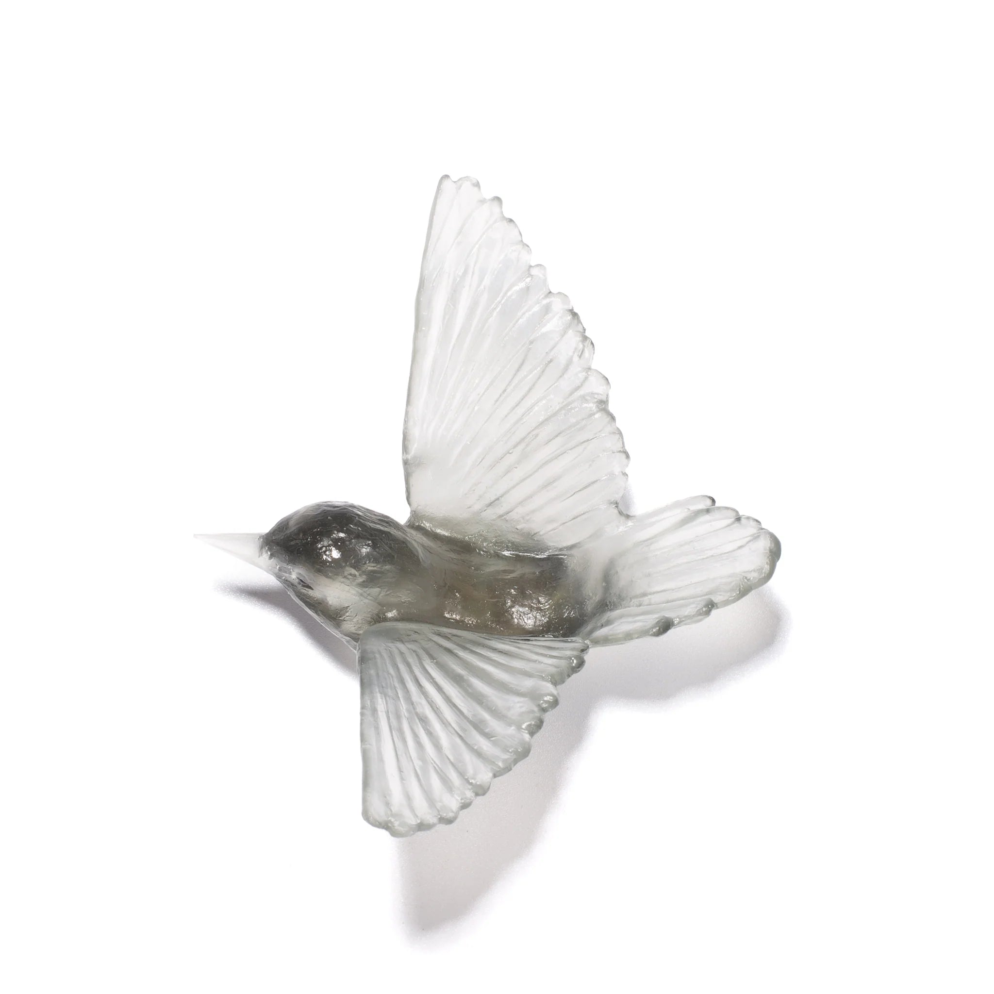Miromiro / Tomtit | Glass Bird