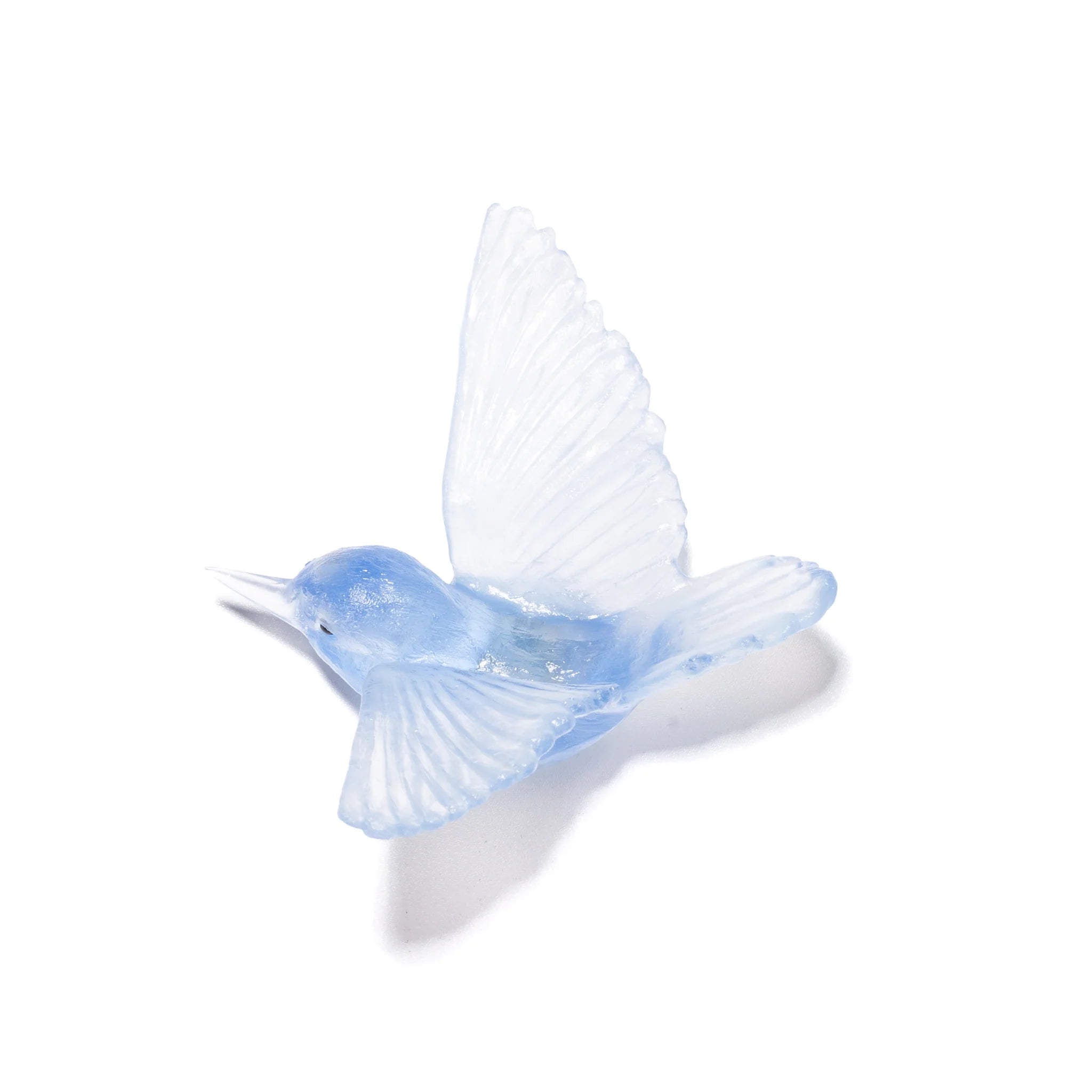 Miromiro / Tomtit | Glass Bird