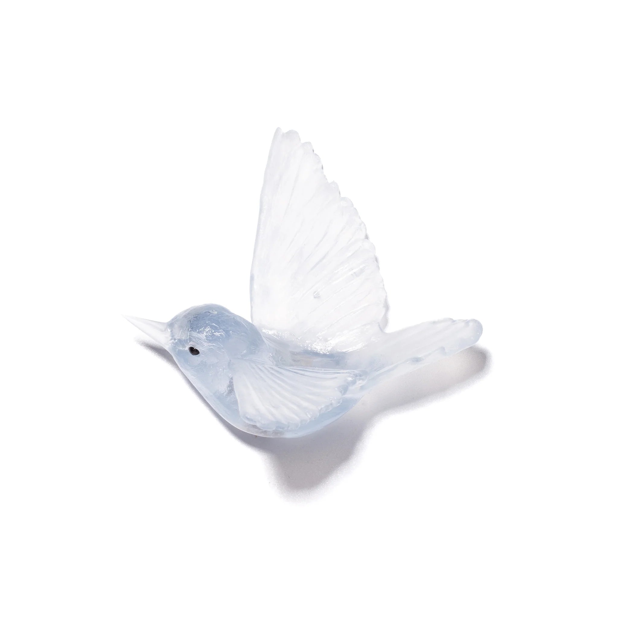 Miromiro / Tomtit | Glass Bird