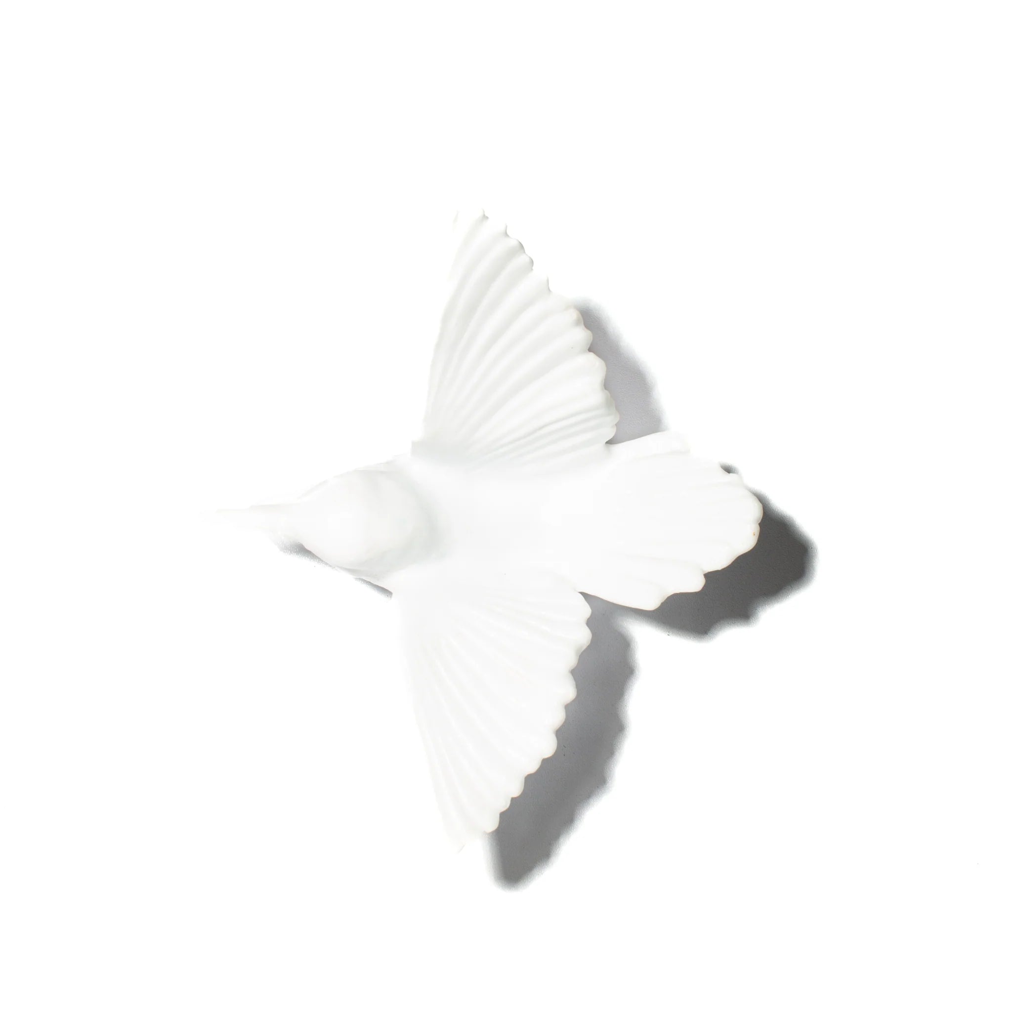 Miromiro / Tomtit | Glass Bird