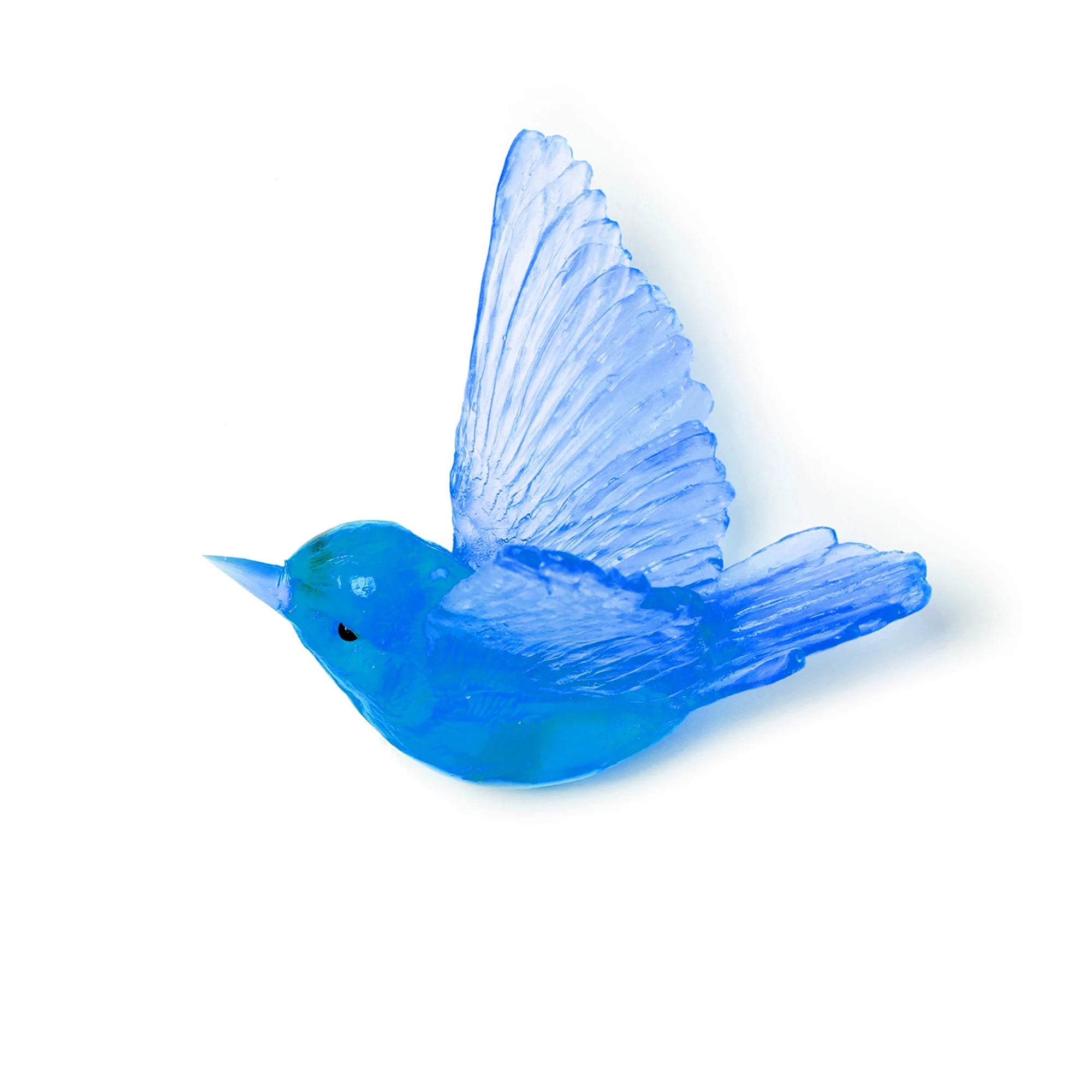 Miromiro / Tomtit | Glass Bird