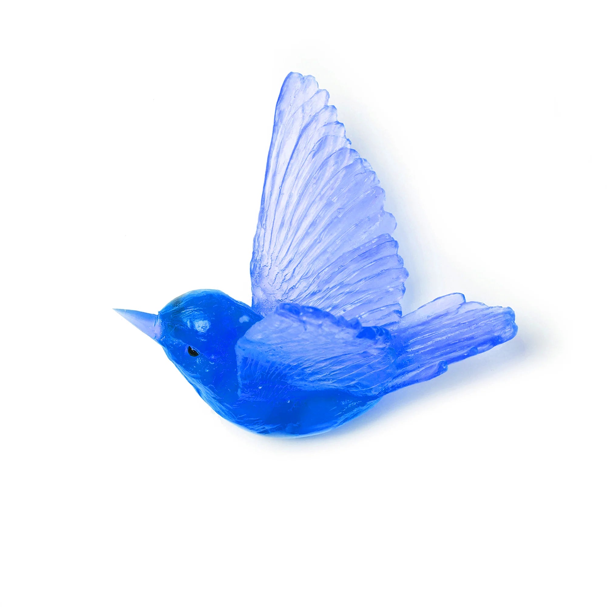 Miromiro / Tomtit | Glass Bird