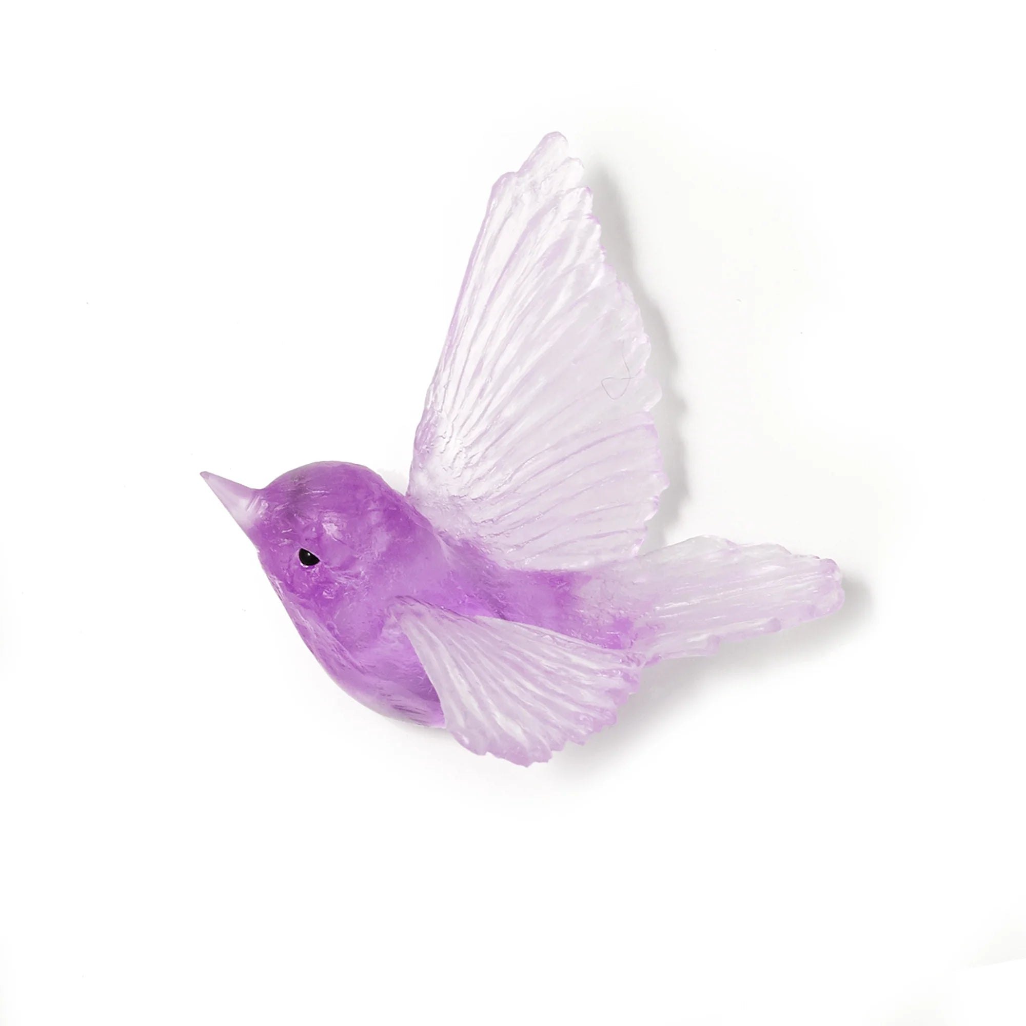 Miromiro / Tomtit | Glass Bird