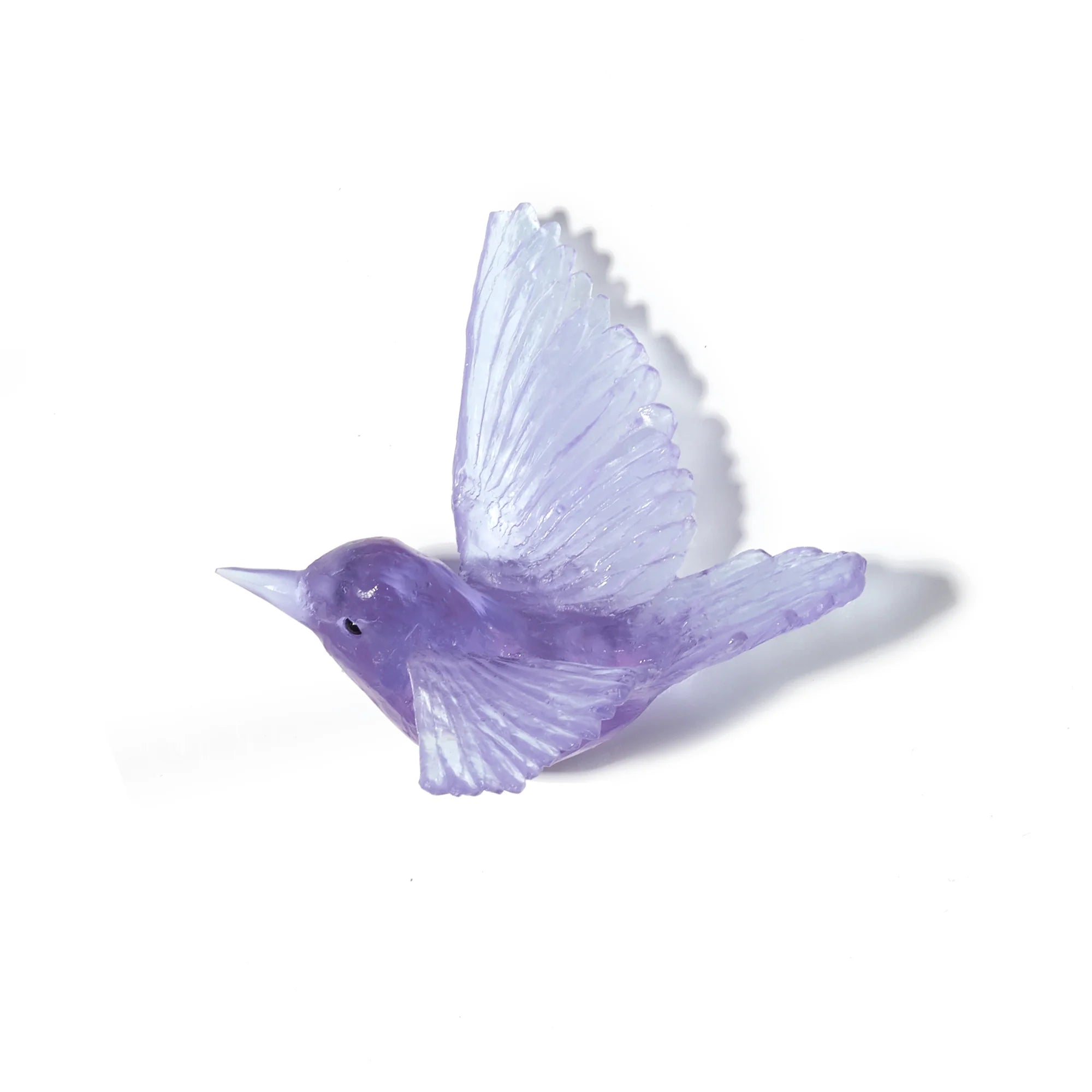 Miromiro / Tomtit | Glass Bird