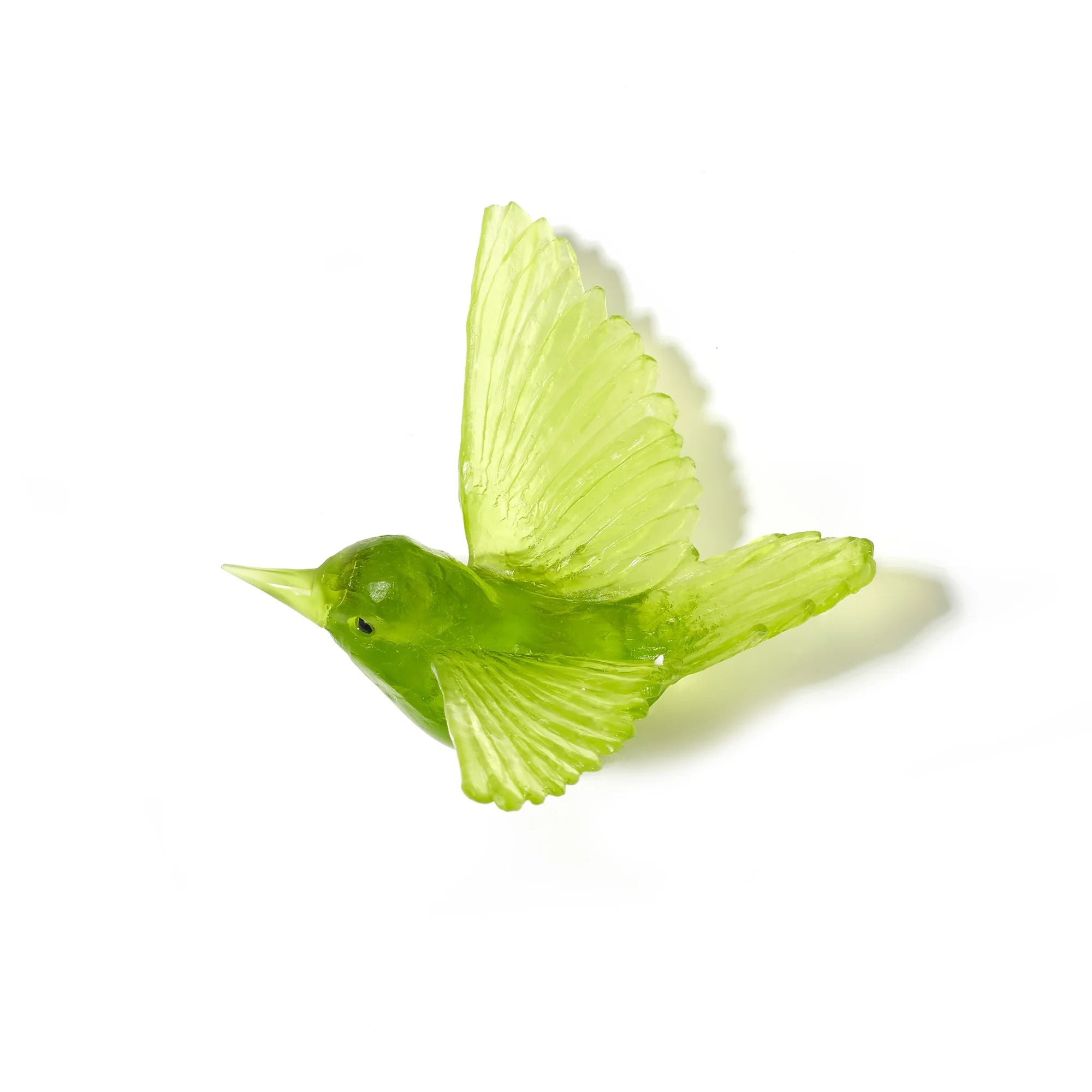 Miromiro / Tomtit | Glass Bird