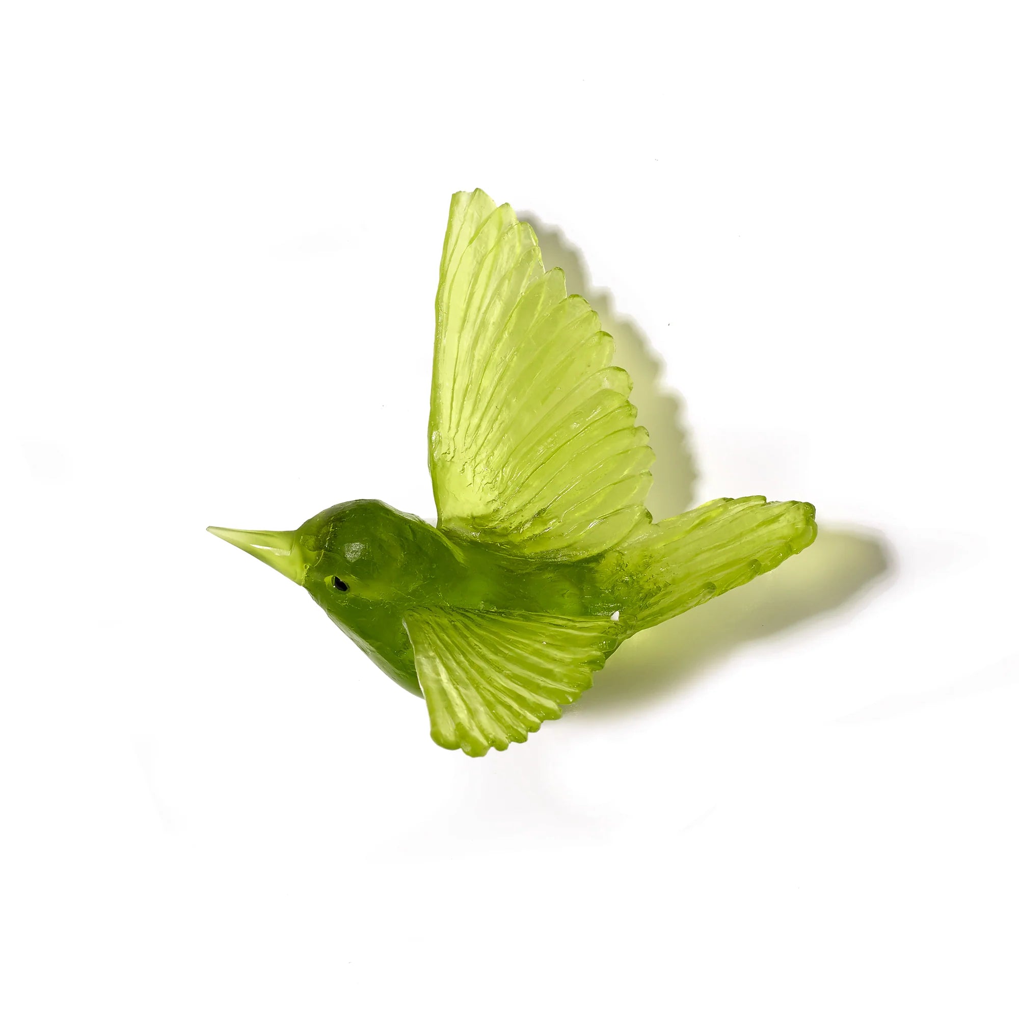 Miromiro / Tomtit | Glass Bird