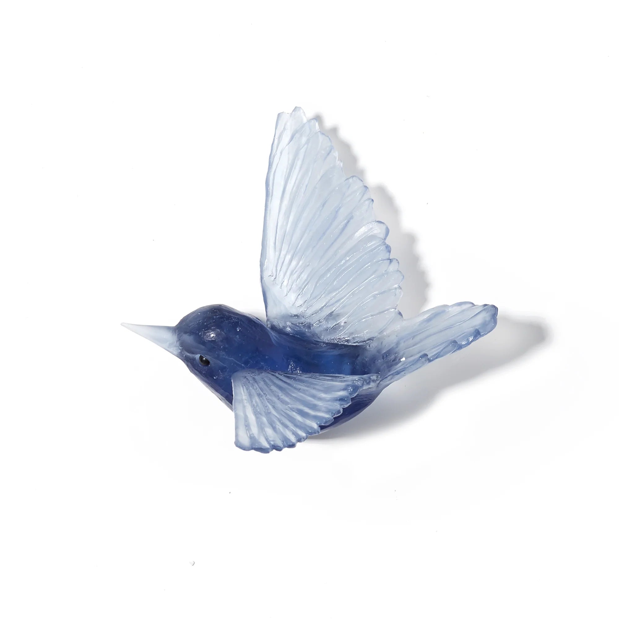 Miromiro / Tomtit | Glass Bird
