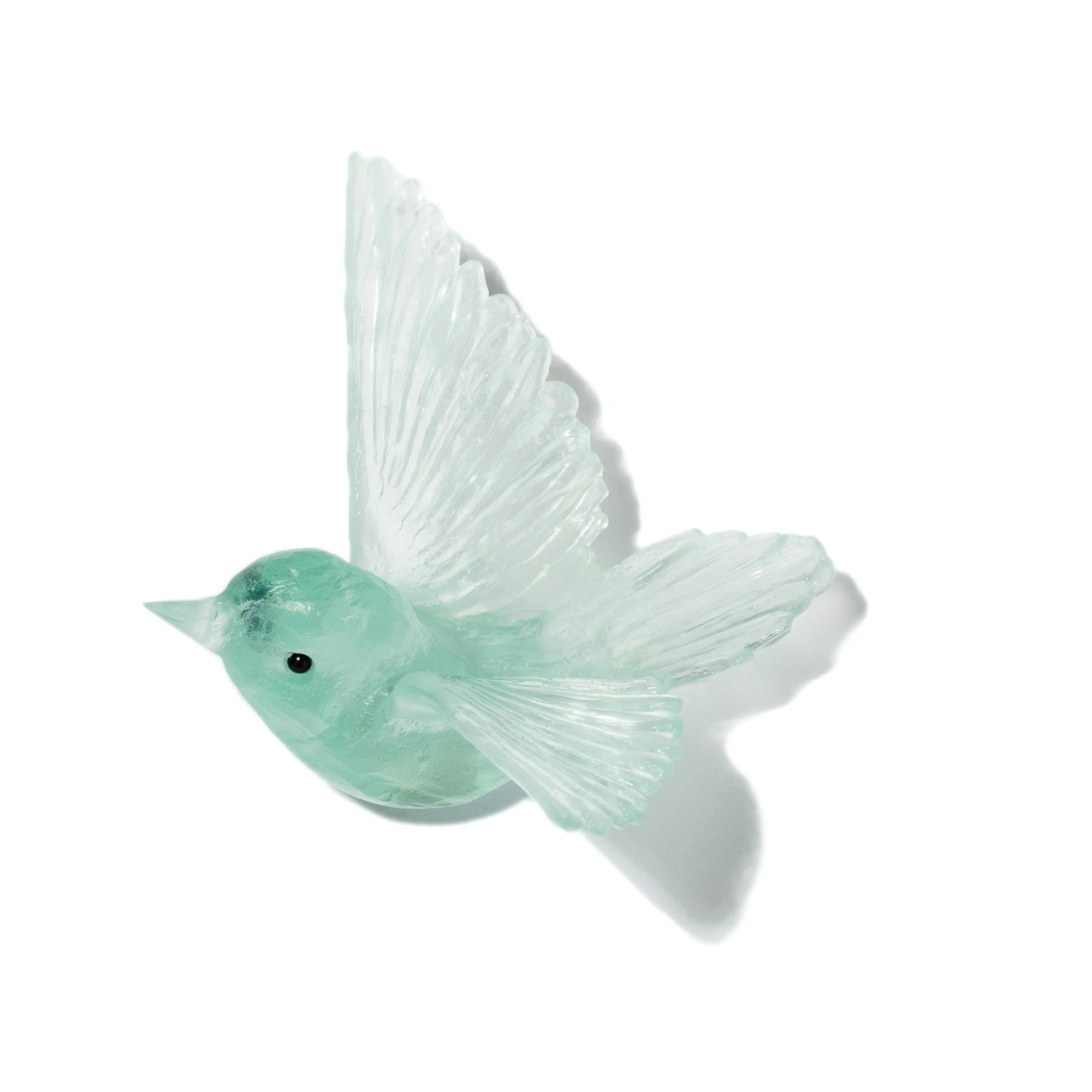 Miromiro / Tomtit | Glass Bird