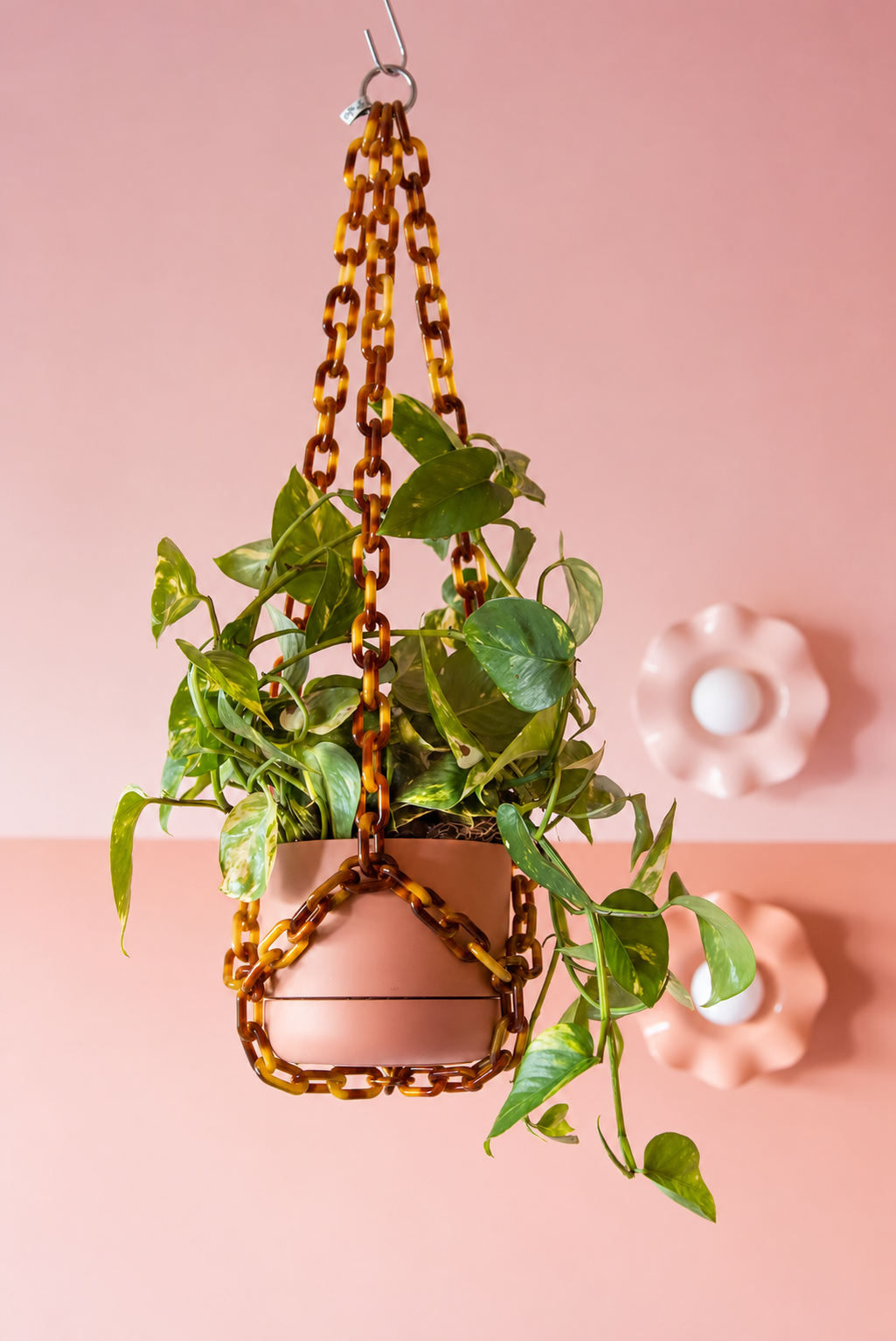 Plant Chain Hanger