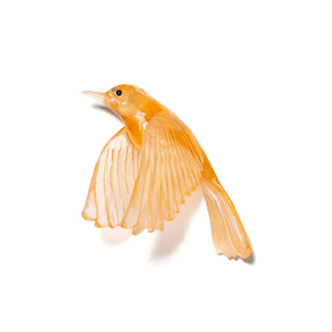 Pōpokotea / Whitehead | Glass Bird