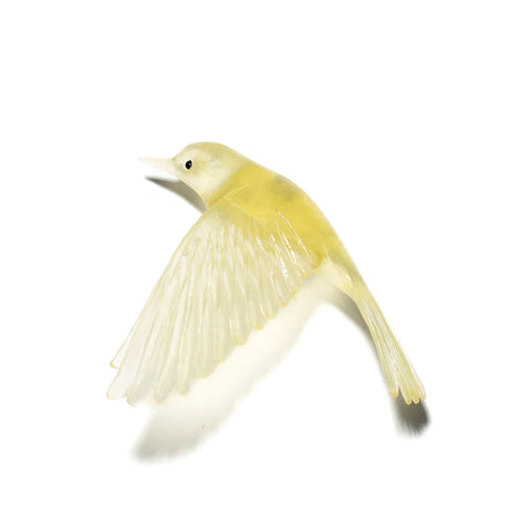 Pōpokotea / Whitehead | Glass Bird