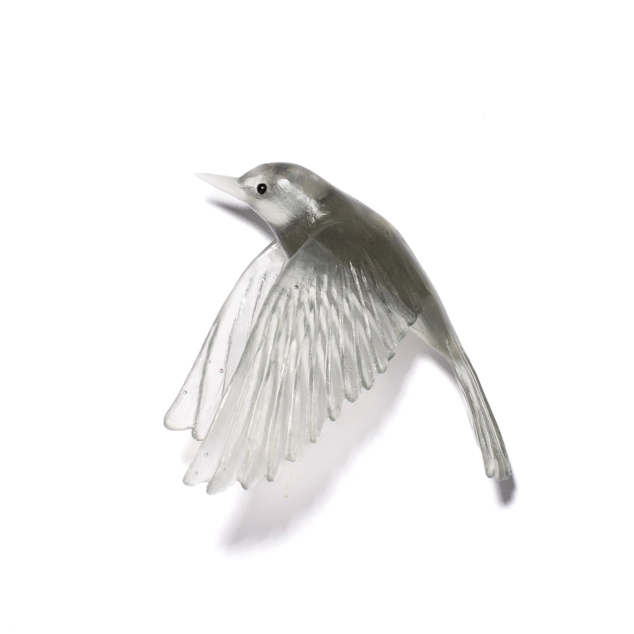 Pōpokotea / Whitehead | Glass Bird