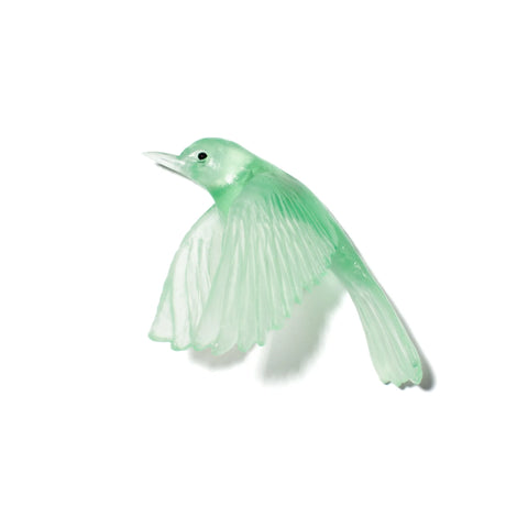 Pōpokotea / Whitehead | Glass Bird
