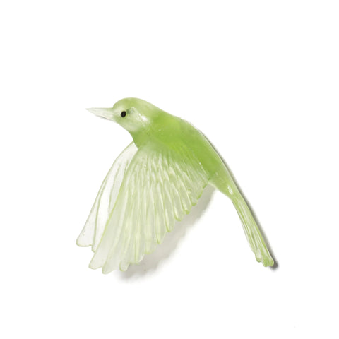 Pōpokotea / Whitehead | Glass Bird