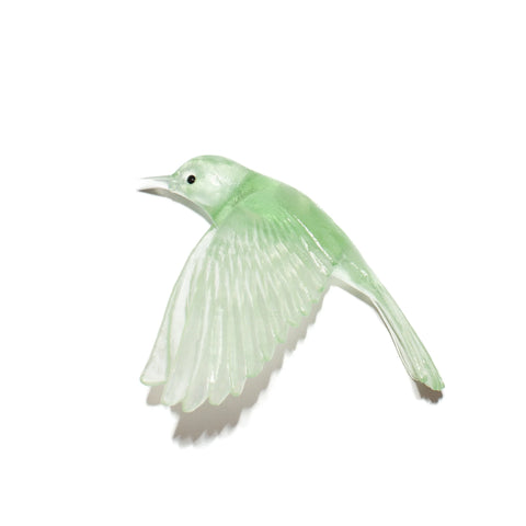 Pōpokotea / Whitehead | Glass Bird