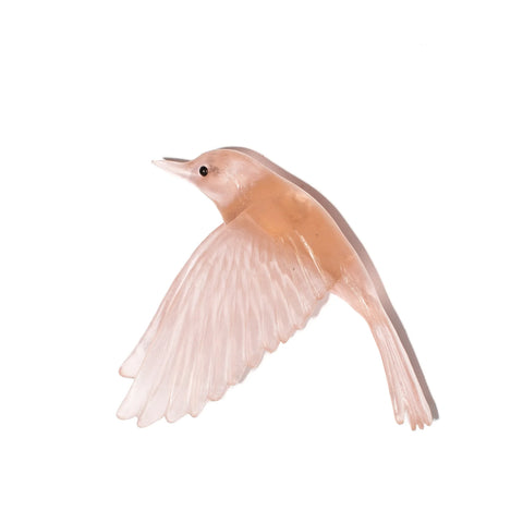 Pōpokotea / Whitehead | Glass Bird