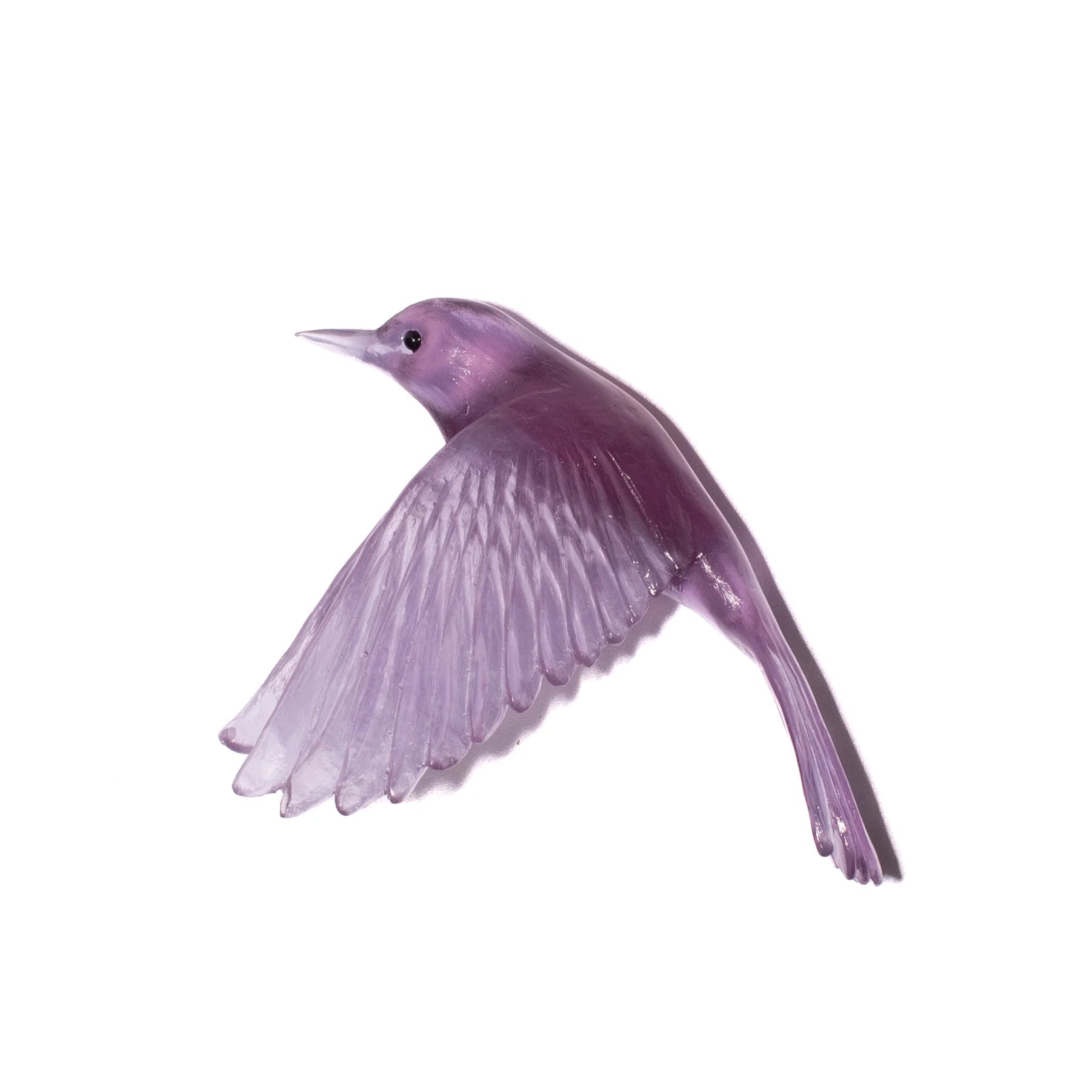 Pōpokotea / Whitehead | Glass Bird