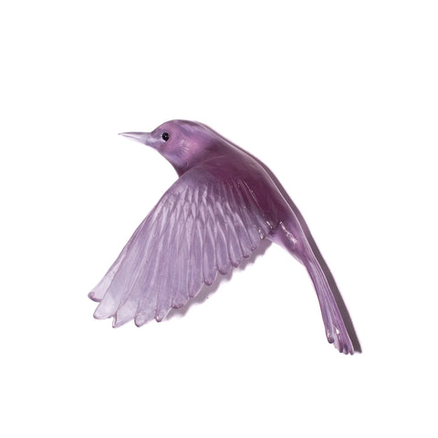 Pōpokotea / Whitehead | Glass Bird
