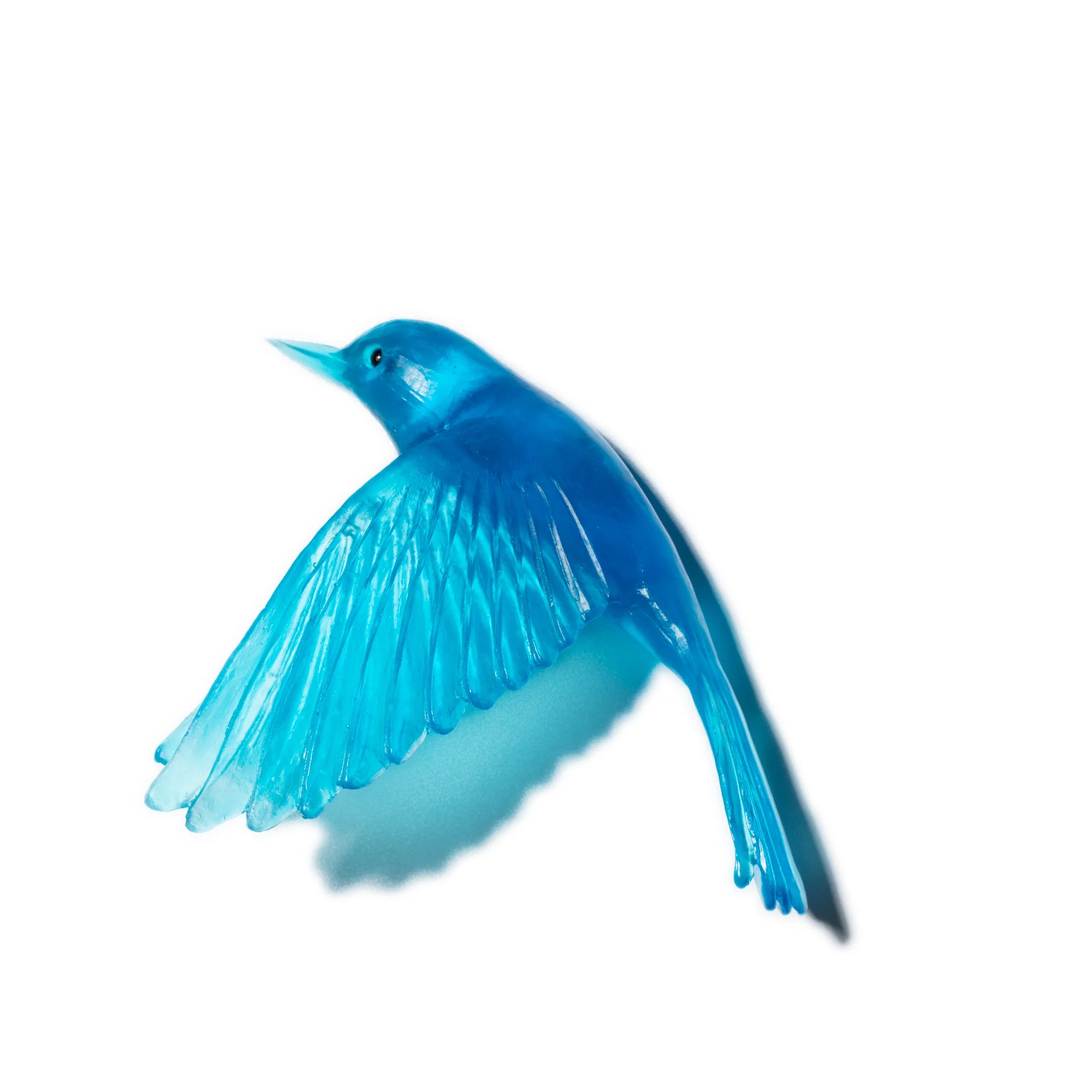 Pōpokotea / Whitehead | Glass Bird