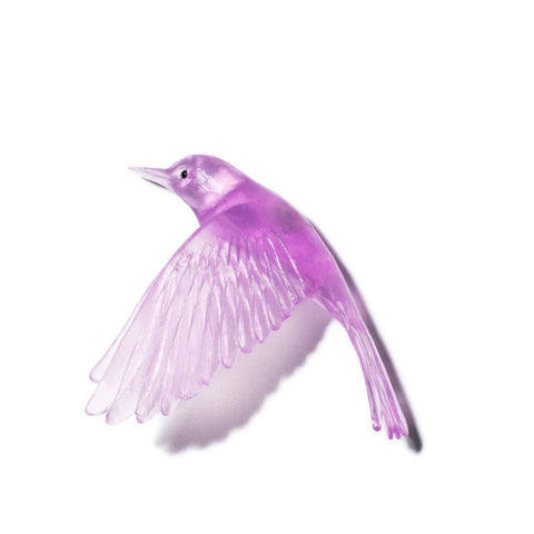 Pōpokotea / Whitehead | Glass Bird