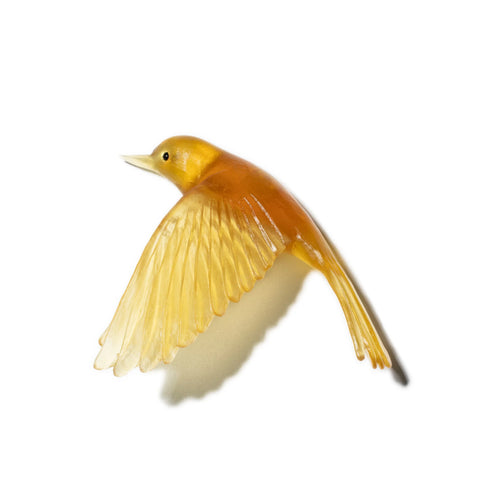 Pōpokotea / Whitehead | Glass Bird