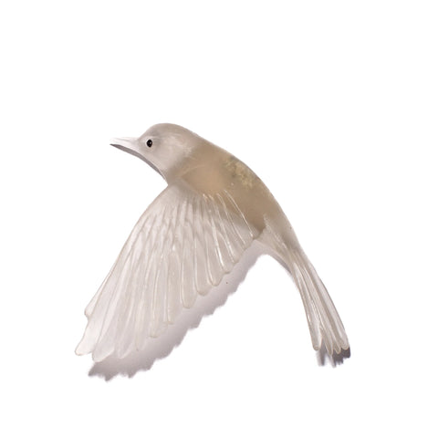 Pōpokotea / Whitehead | Glass Bird