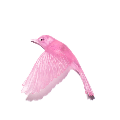 Pōpokotea / Whitehead | Glass Bird
