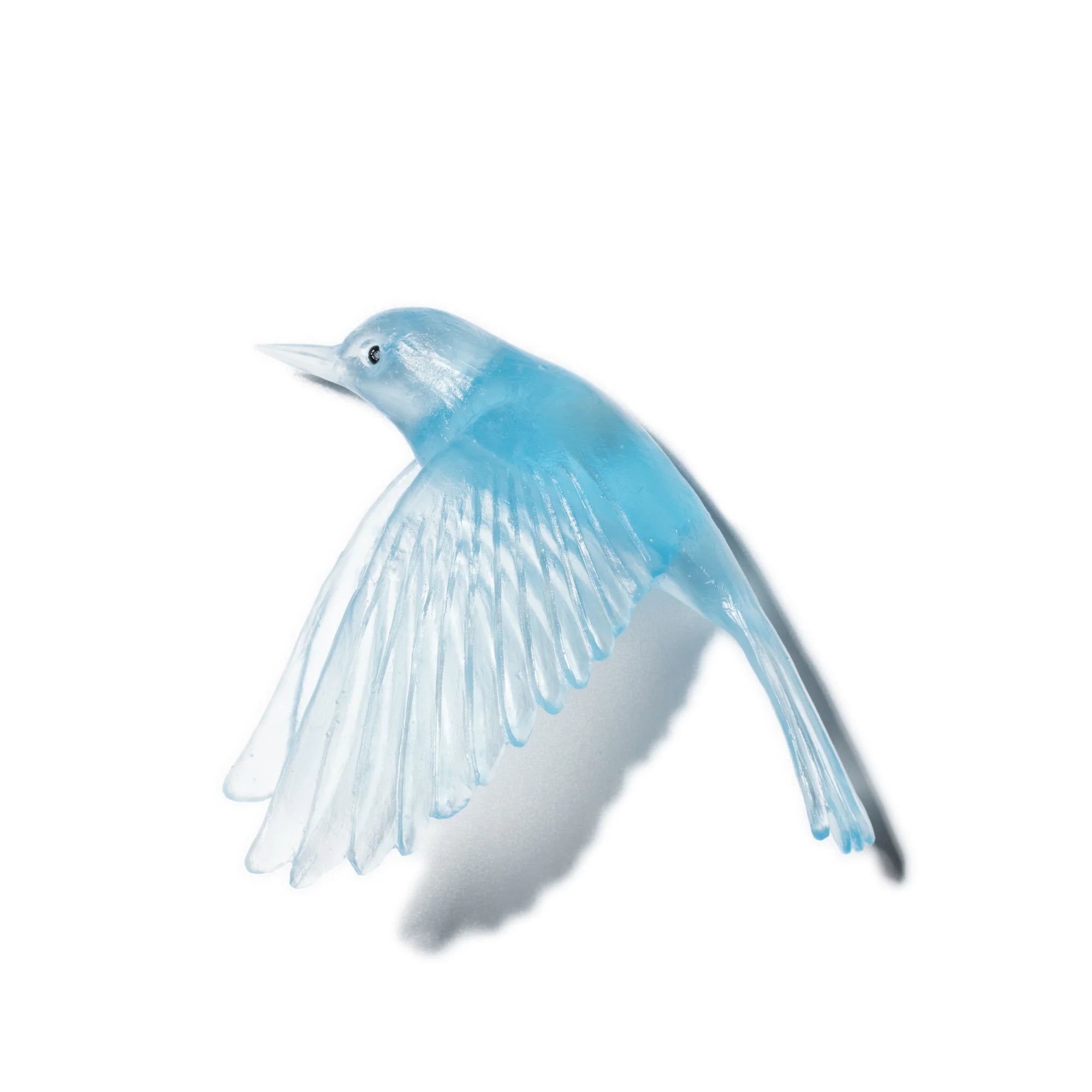 Pōpokotea / Whitehead | Glass Bird