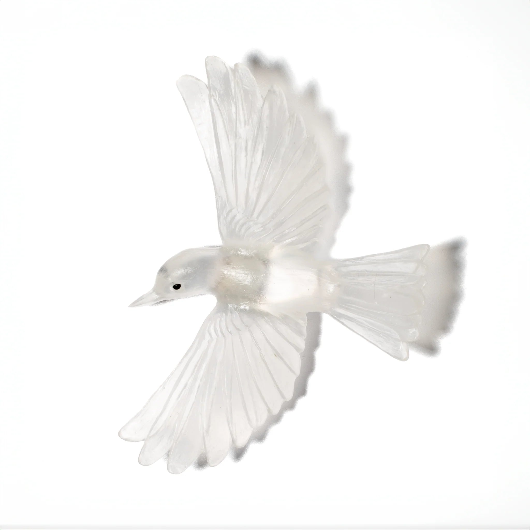 Tauhou / Silvereye | Glass Bird