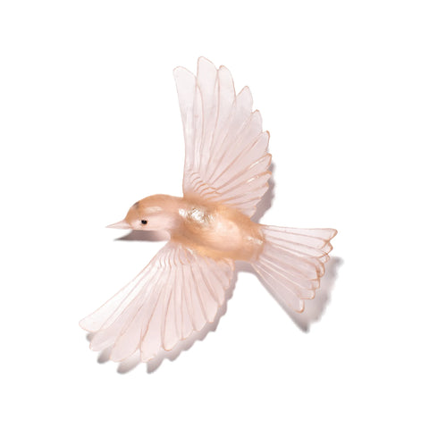 Mōhua / Yellowhead | Glass Bird