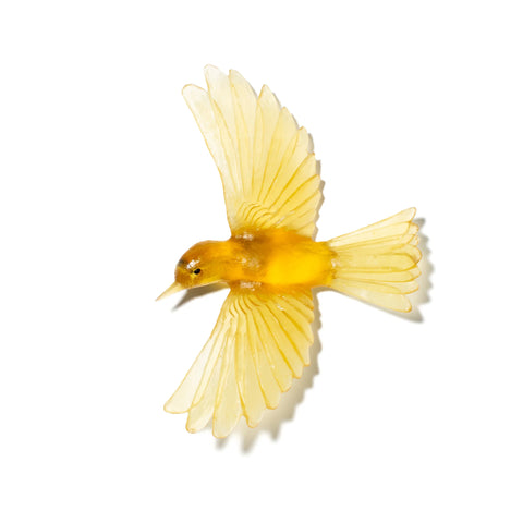 Mōhua / Yellowhead | Glass Bird